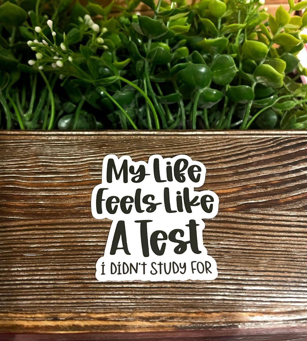 My Life Feels Like a Test I Didn't Study For, Sarcasm Quote, Die Cut Vinyl Sticker, Funny Humor, Water Resistant, Adult Humor |Sticker or Magnet