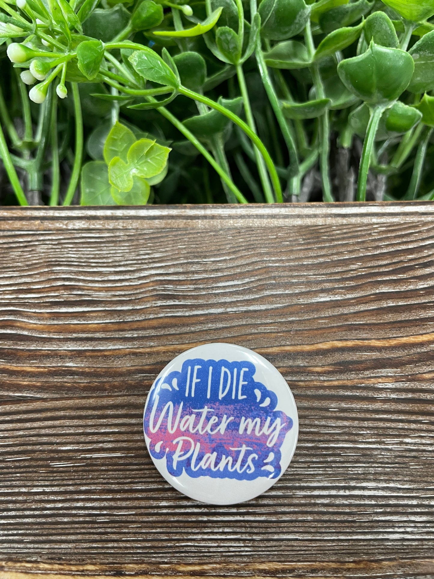 If I Die Water my Plants, Graphic Art Button / Pin Refrigerator Magnet - Handmade by Marlayna