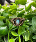 Opal Cabochon Wire Wrapped Ring Size 10 - Handmade by Marlayna