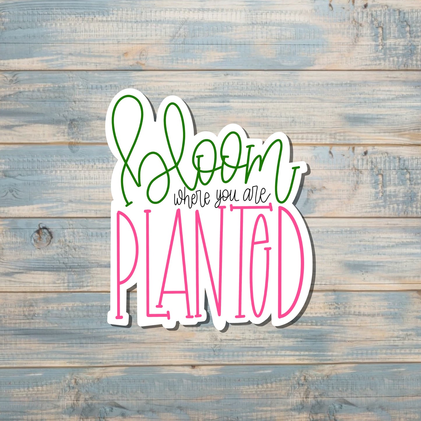 Bloom Where you are Planted, Die Cut Sticker, Graphic Art Vinyl, , Boho Fun |Sticker or Magnet