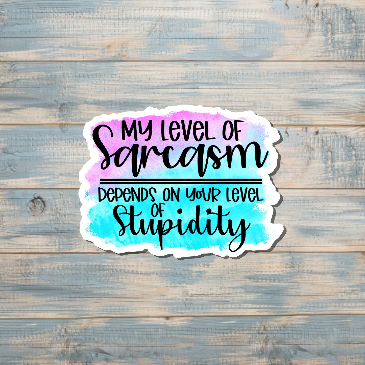 Sarcasm Sticker, Joke Funny Sticker, Sarcastic Water Bottle, Stupidity Rude, Best Friend Gift, Laptop Decal, Anti-Social Anxiety |Sticker or Magnet