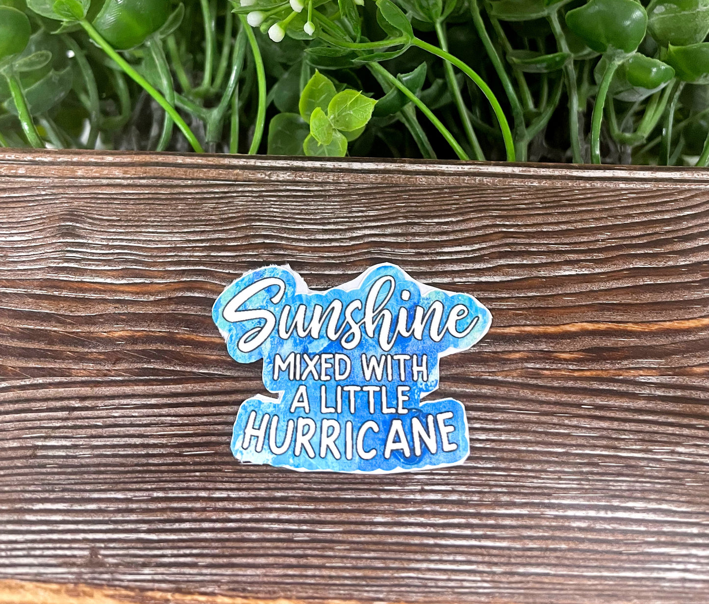 Sunshine Mixed with a Little Hurricane, Snarky Quote, Die Cut Sticker, Graphic Art Sticker,  Vinyl Decal |Sticker or Magnet