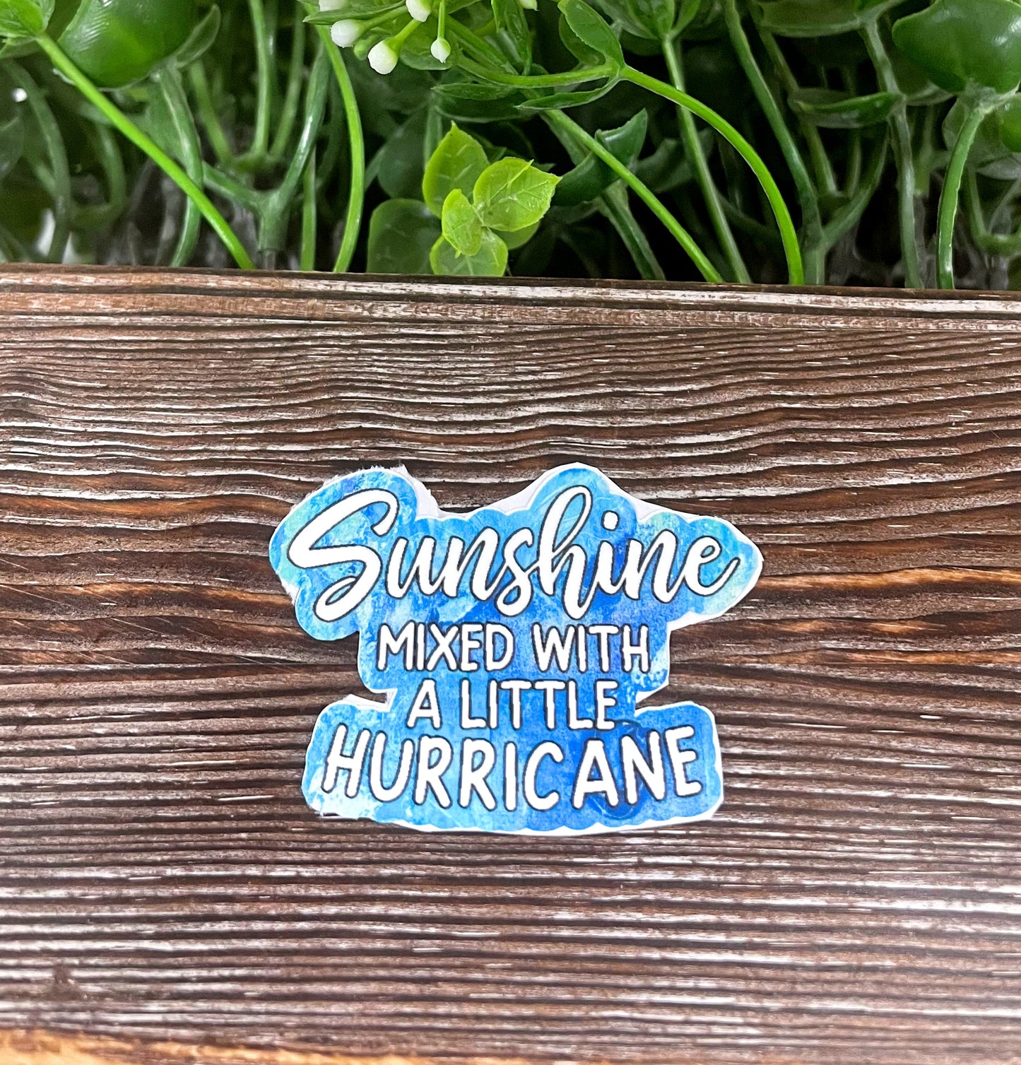 Sunshine Mixed with a Little Hurricane, Snarky Quote, Die Cut Sticker, Graphic Art Sticker,  Vinyl Decal |Sticker or Magnet