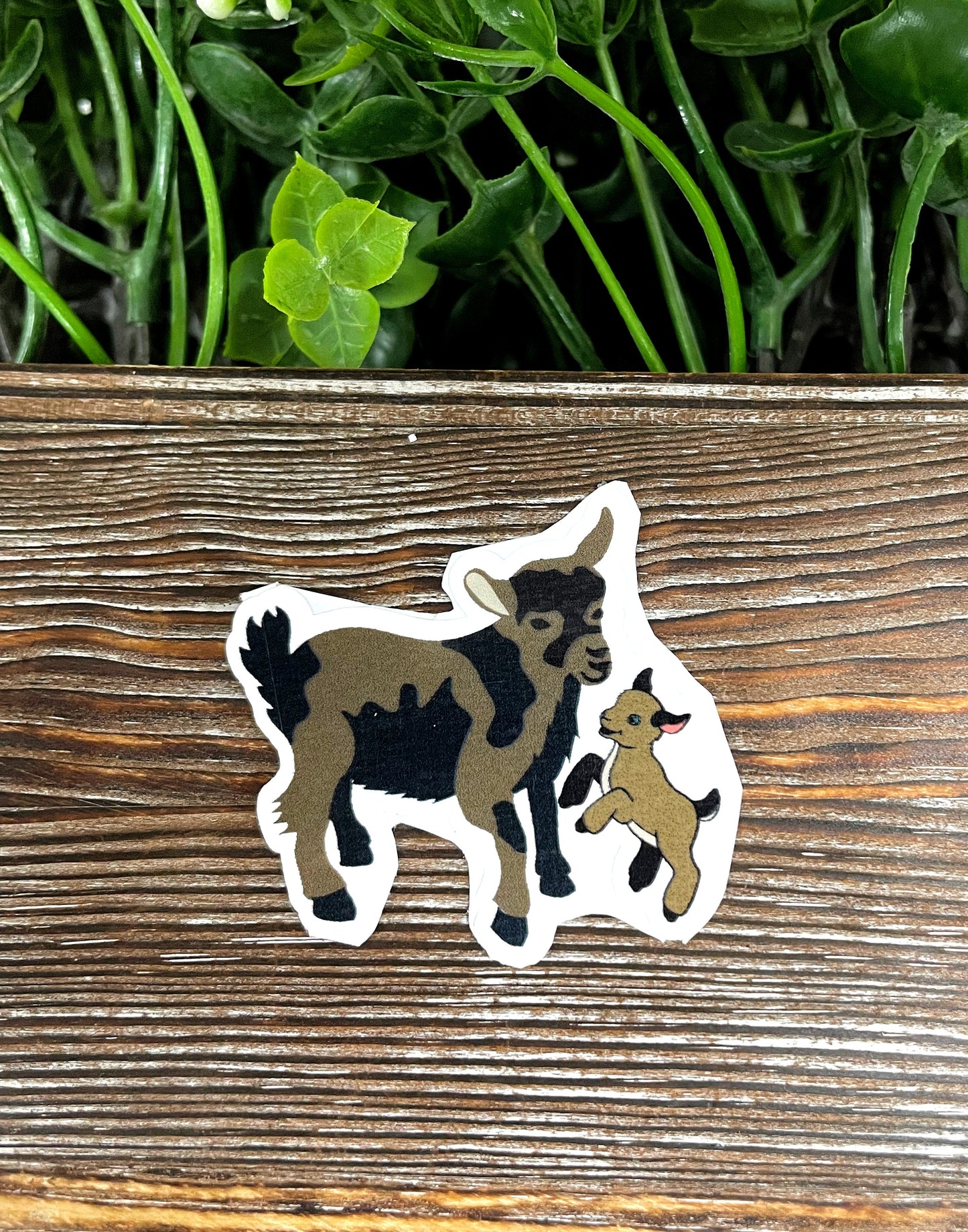 Mom and Baby Goat Sticker, Nigerian Dwarf Mini |Sticker or Magnet