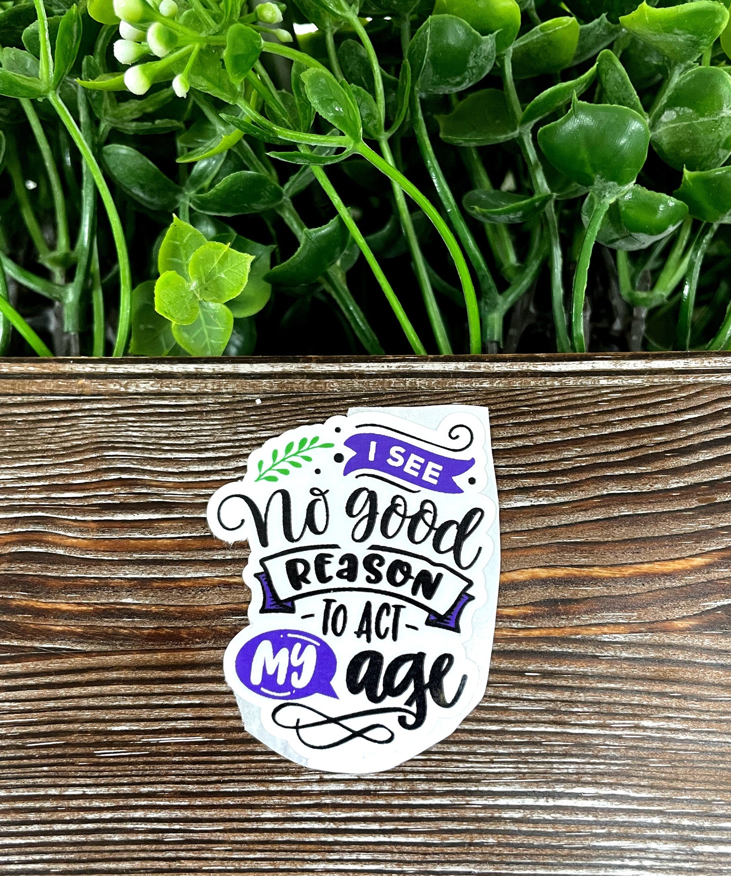 I See No Good Reason to Act My Age, Snarky Sarcasm Quote, Die Cut Sticker, Graphic Art Sticker,  Vinyl Decal |Sticker or Magnet