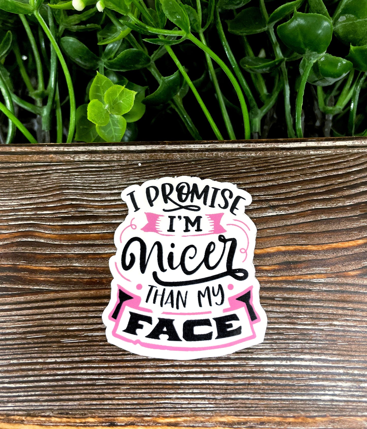 I Promise I'm Nicer Than My Face, Snarky Sarcasm Quote, Die Cut Sticker, Graphic Art Sticker,  Vinyl Decal |Sticker or Magnet