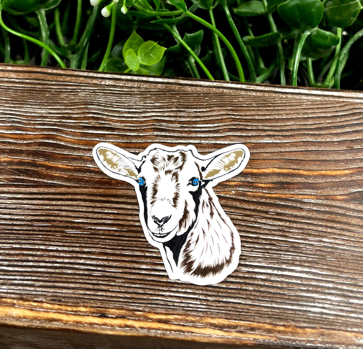 Goat Face Sticker, Graphic Art Sticker, Vinyl, Nigerian Dwarf Mini |Sticker or Magnet
