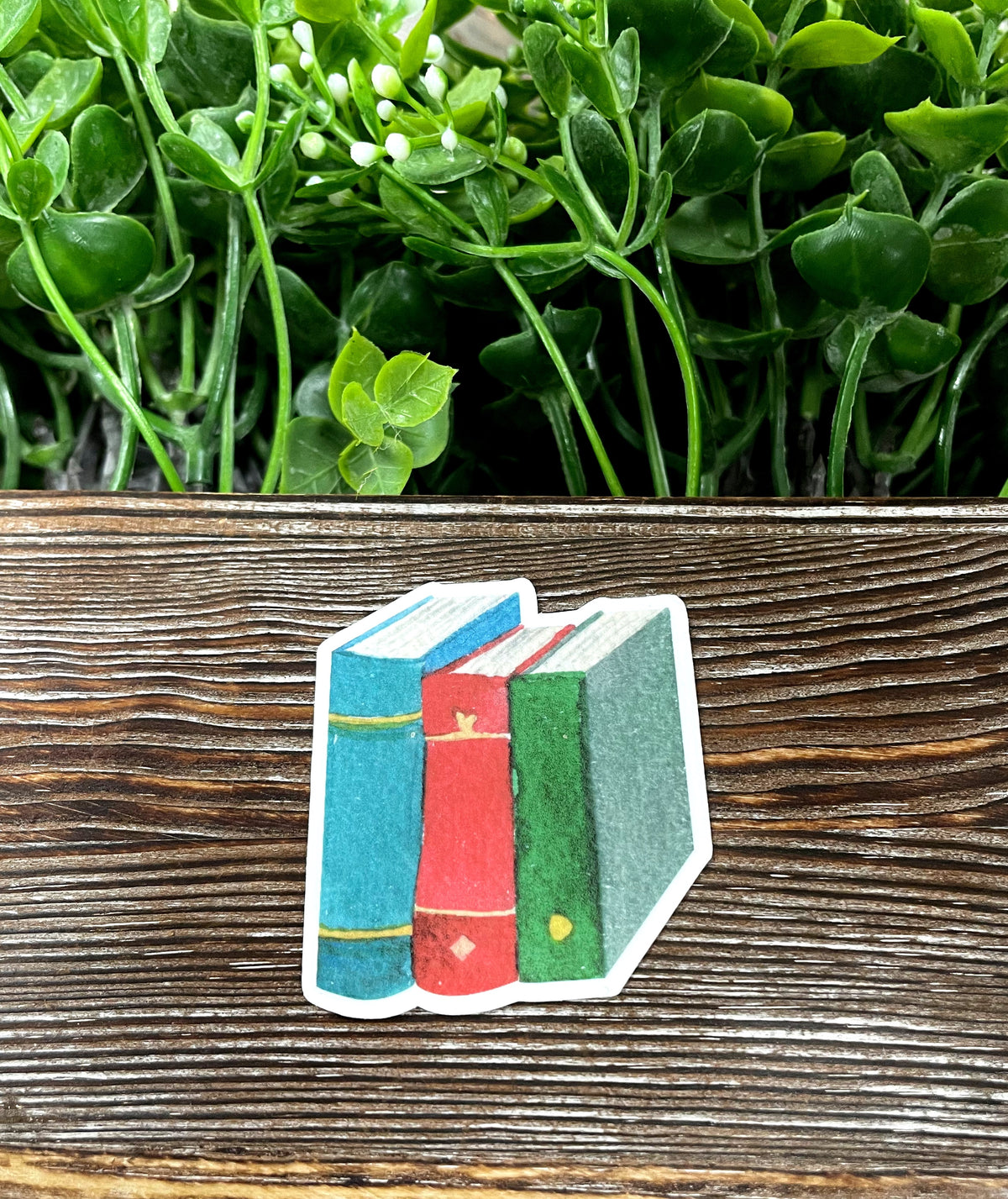 Vintage Watercolor Books, Love to Read, Die Cut Sticker, Books, Graphic Art Sticker, Vinyl, , Blue Red Green |Sticker or Magnet