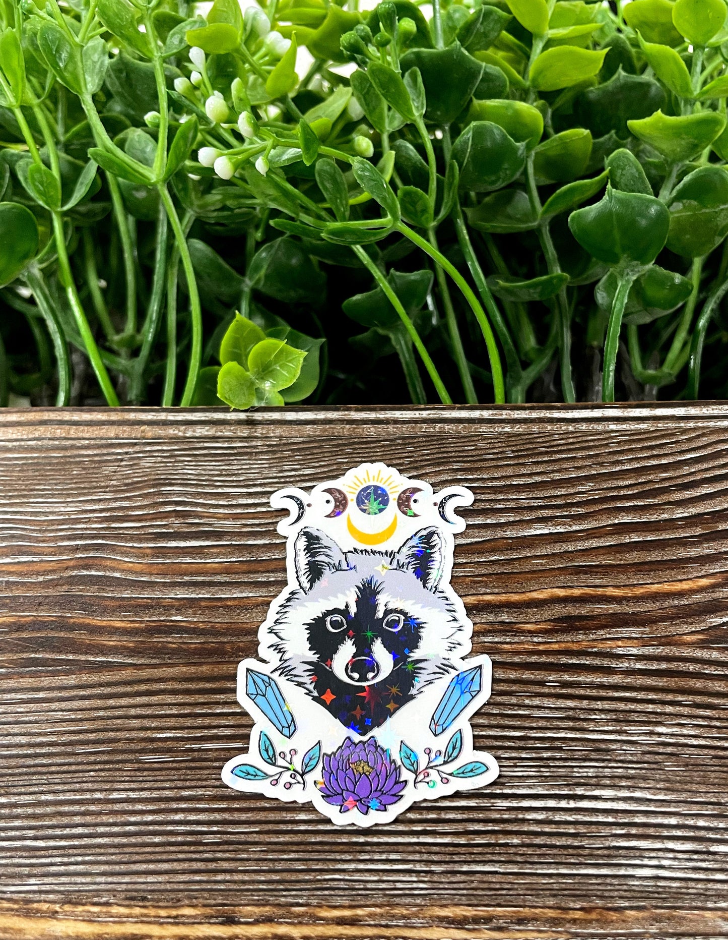 Racoon Crystals Moon Sticker, Graphic Art Sticker, Vinyl, Boho Hippie |Sticker or Magnet