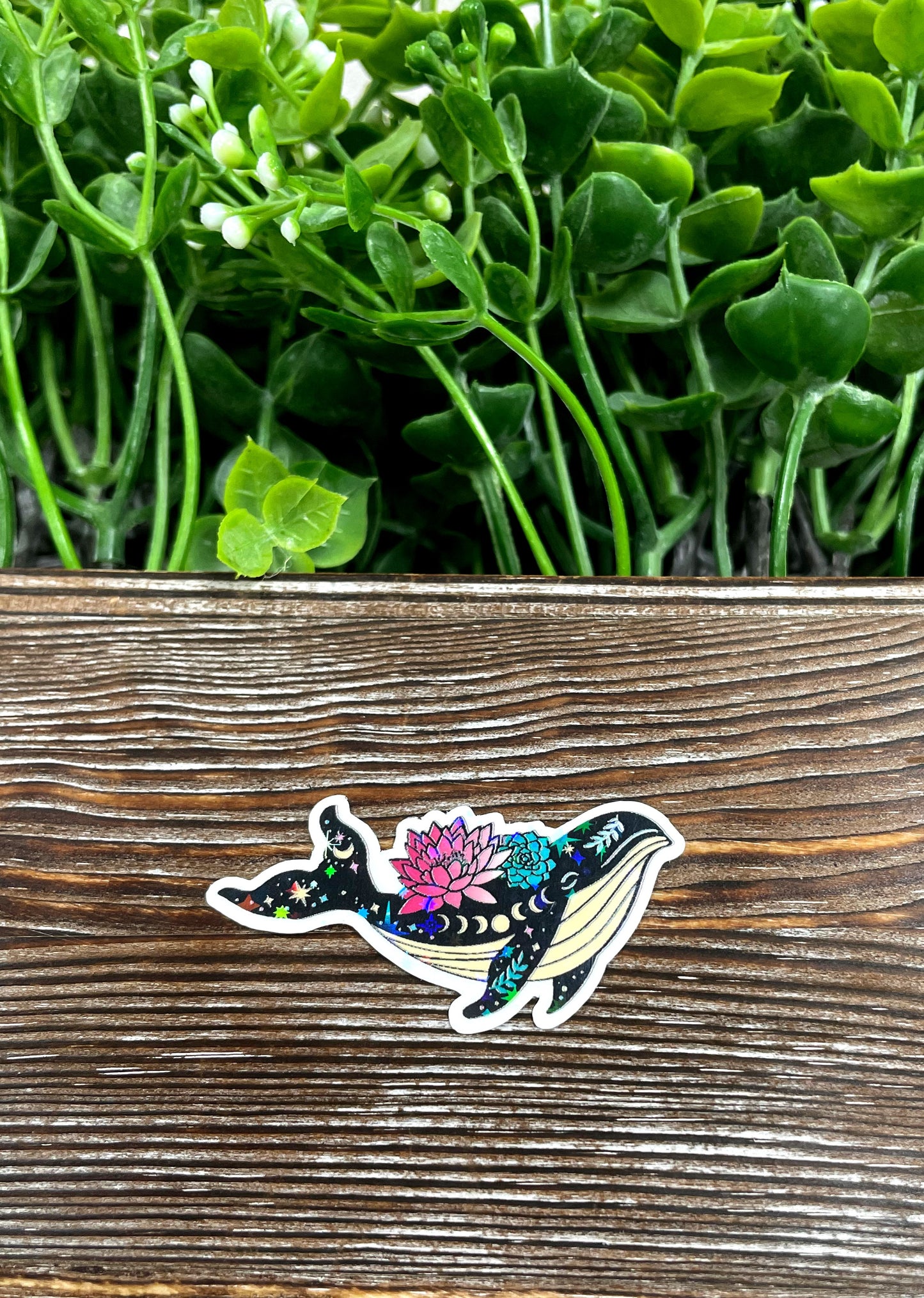 Celestial Whale, Die Cut Sticker, Graphic Art Sticker, Vinyl, , Boho Hippie |Sticker or Magnet