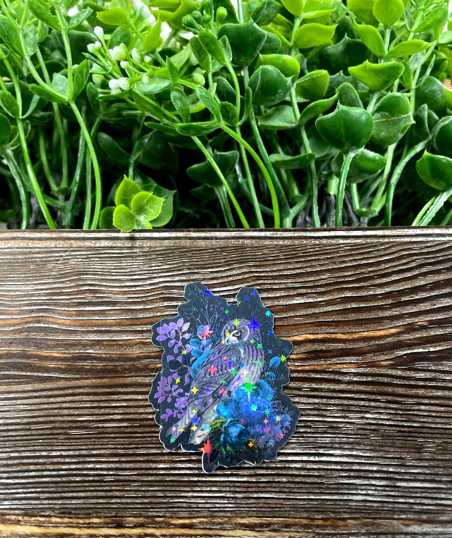 Celestial Owl, Die Cut Sticker, Graphic Art Sticker, Vinyl, , Boho Hippie |Sticker or Magnet