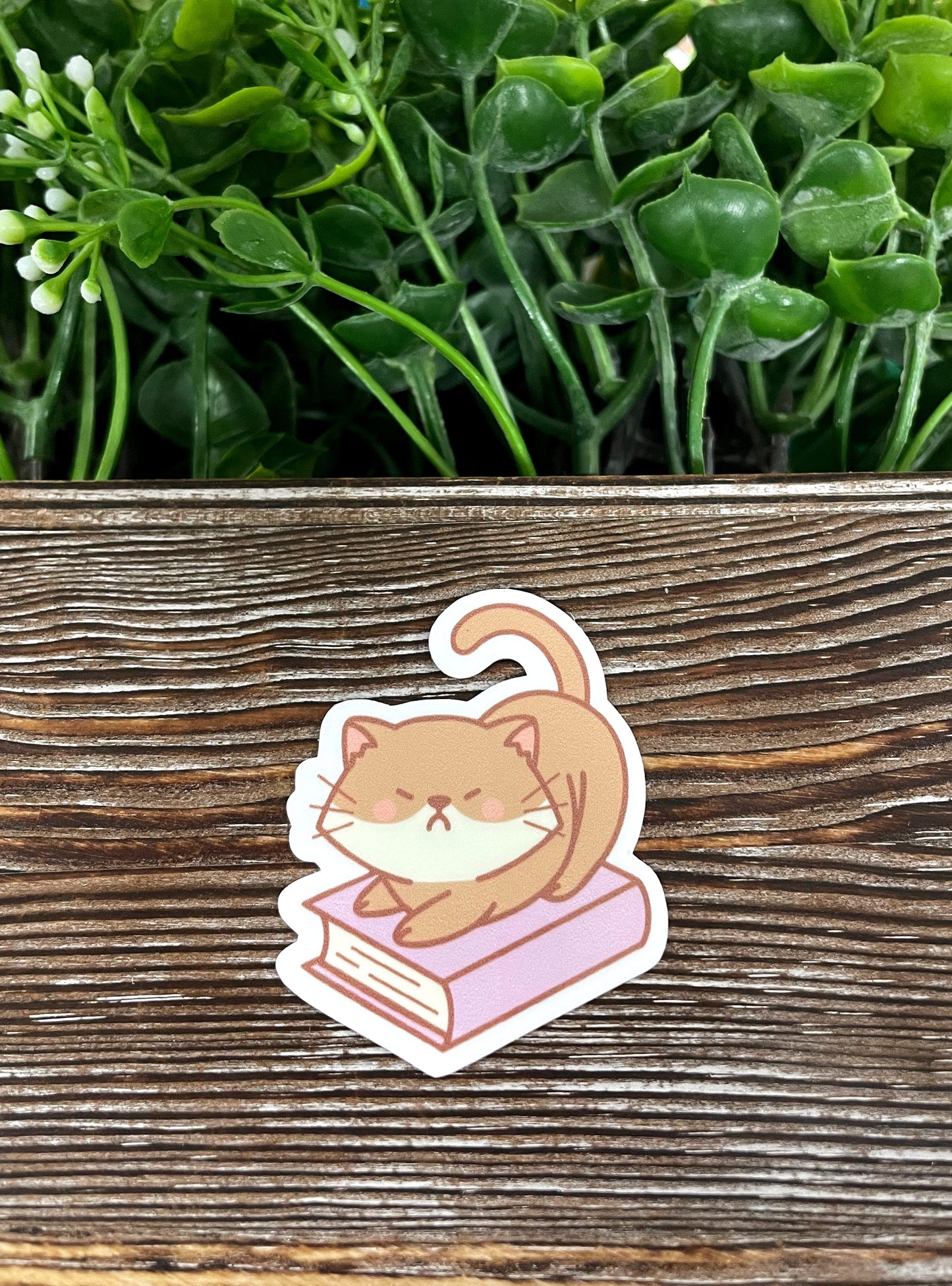Cat on a Book Sticker, Die Cut Vinyl, , Boho Fun, Water Resistant |Sticker or Magnet