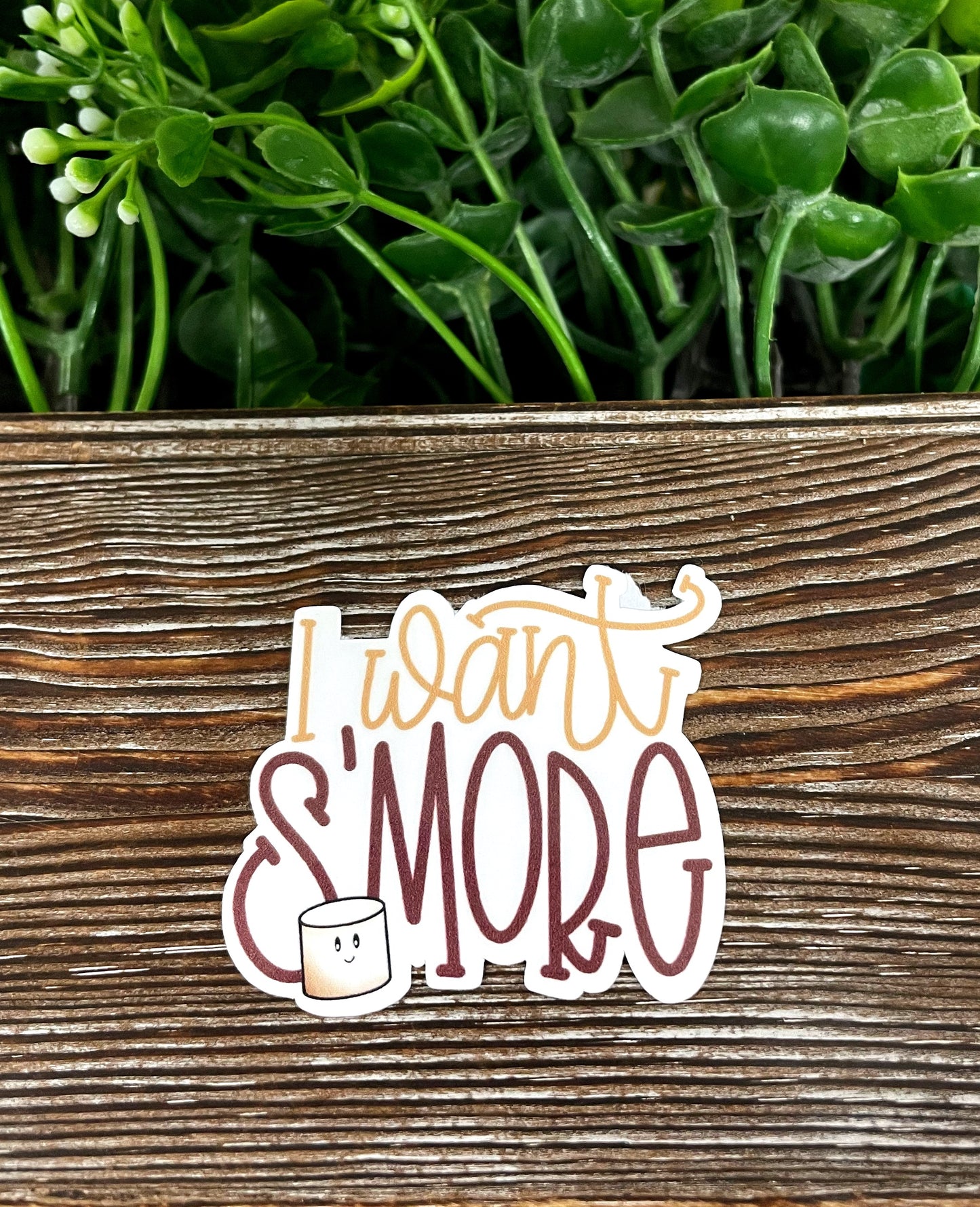 I Want S'more, Die Cut Sticker, Graphic Art Vinyl, , Boho Fun Camping |Sticker or Magnet