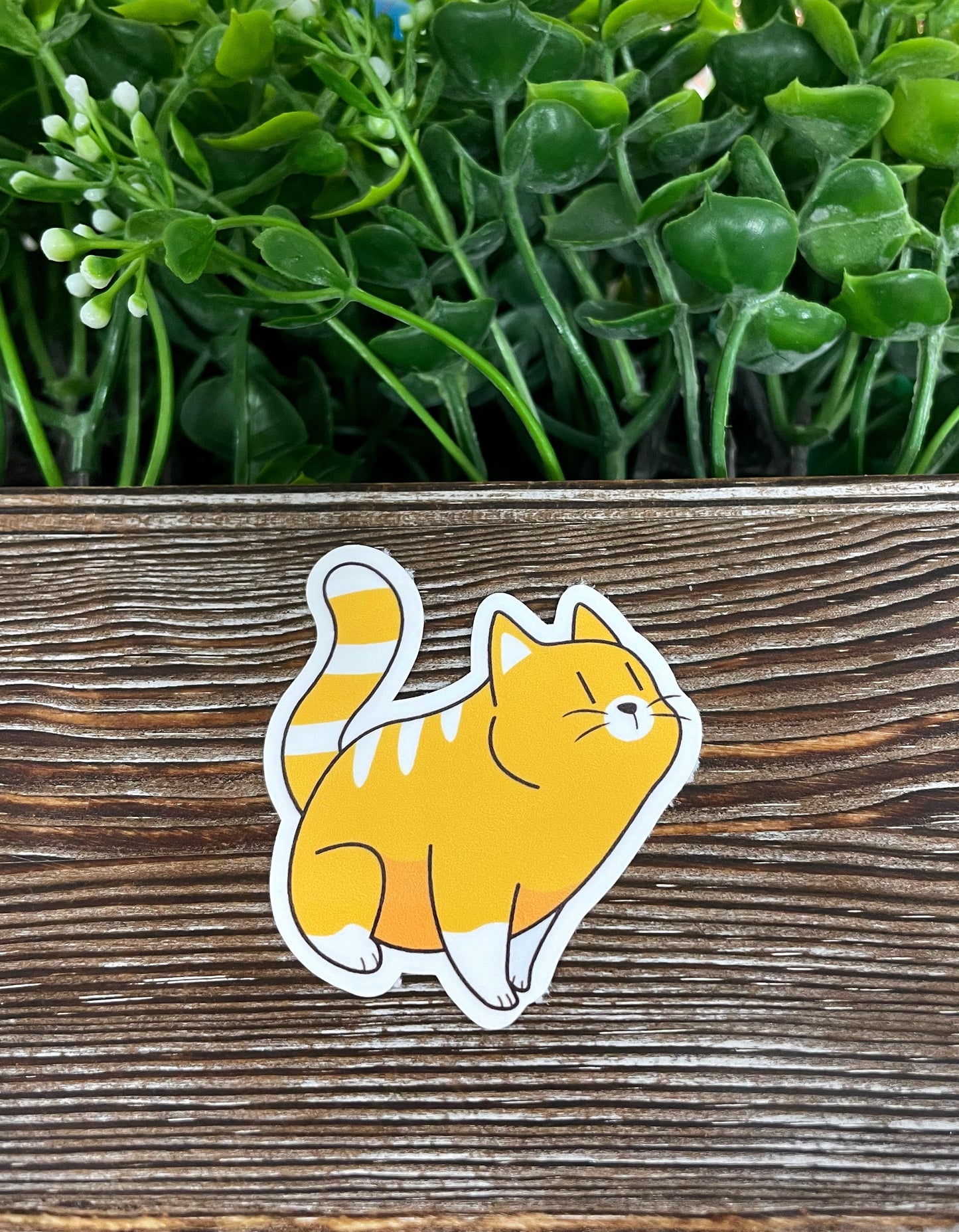 Orange and White Cat, Die Cut Sticker, Graphic Art Vinyl, , Boho Fun |Sticker or Magnet