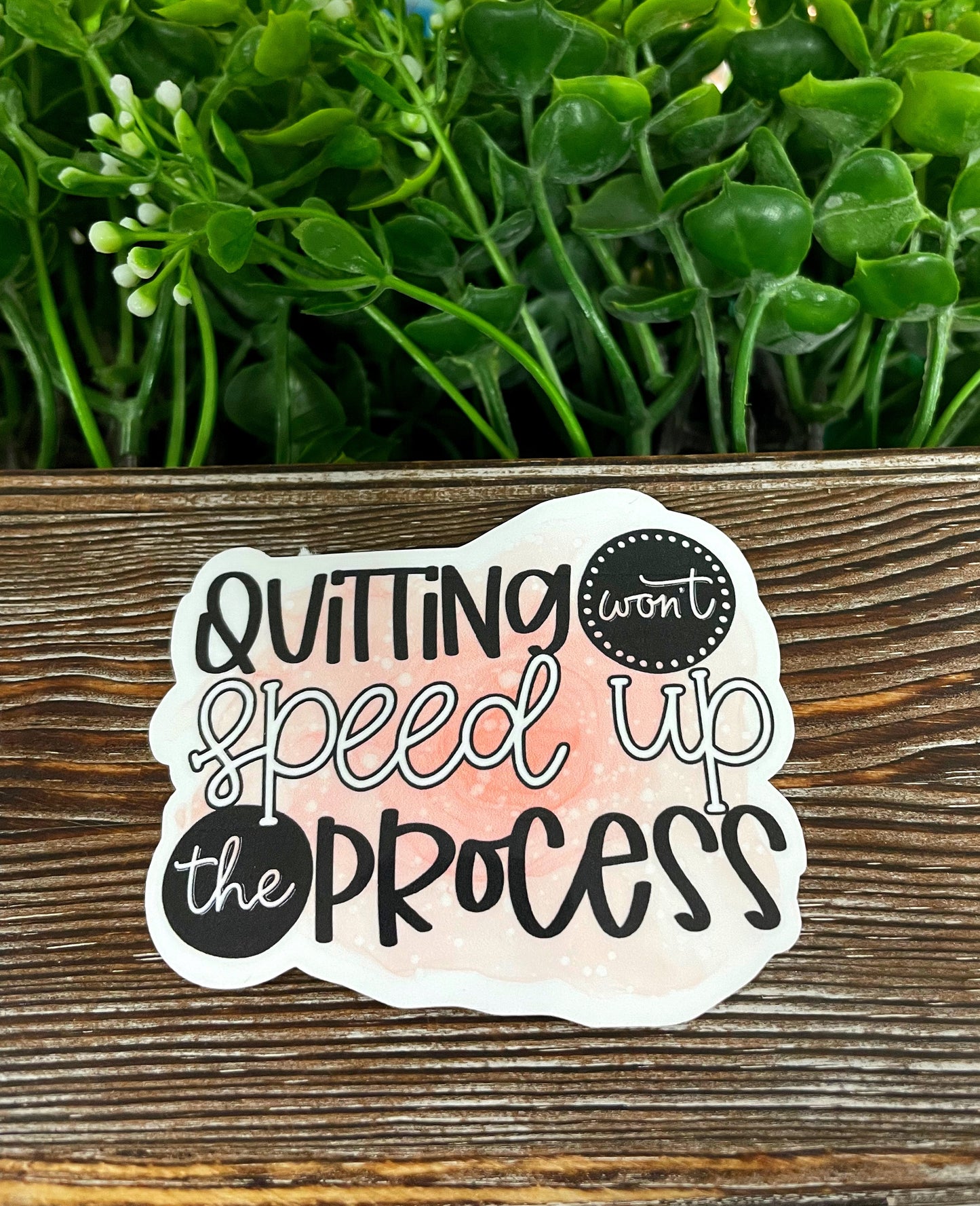 Quitting Won't Speed Up the Process Sticker |Sticker or Magnet
