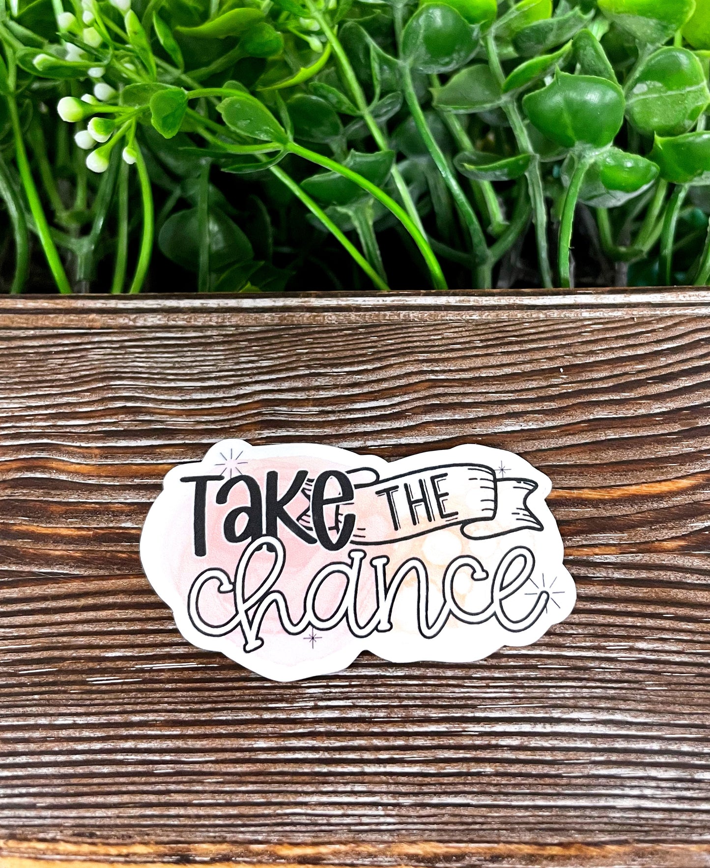 Take the Chance, Die Cut Sticker, Graphic Art Vinyl, , Boho Fun, Motivational |Sticker or Magnet