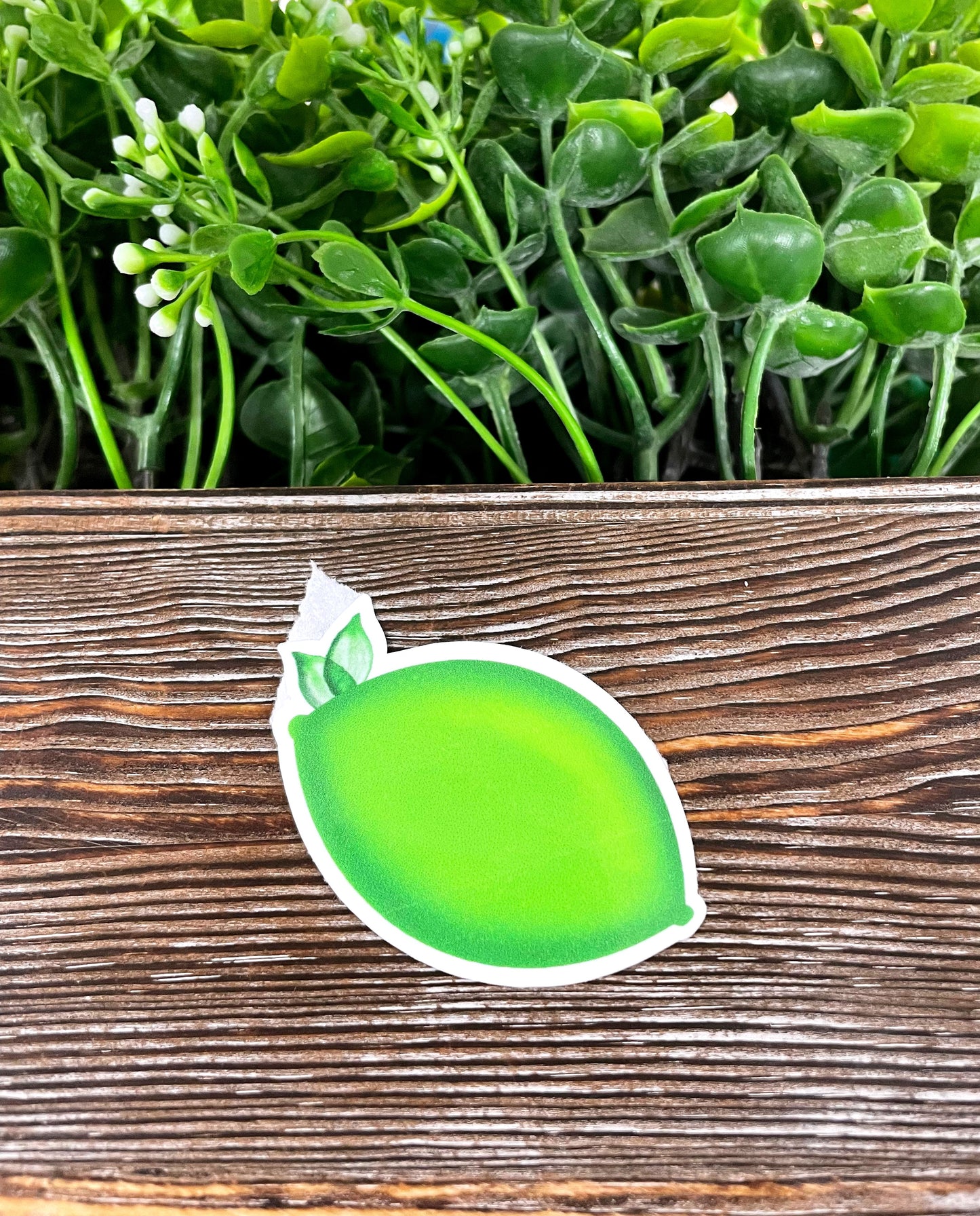 Green Lime, Die Cut Sticker, Graphic Art Vinyl, , Boho Fun |Sticker or Magnet