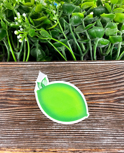 Green Lime, Die Cut Sticker, Graphic Art Vinyl, , Boho Fun |Sticker or Magnet