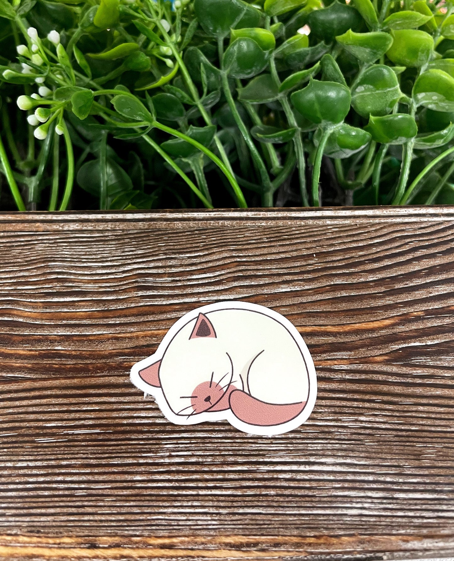 Sleeping Kitty, Die Cut Sticker, Graphic Art Vinyl, , Boho Fun Cat |Sticker or Magnet