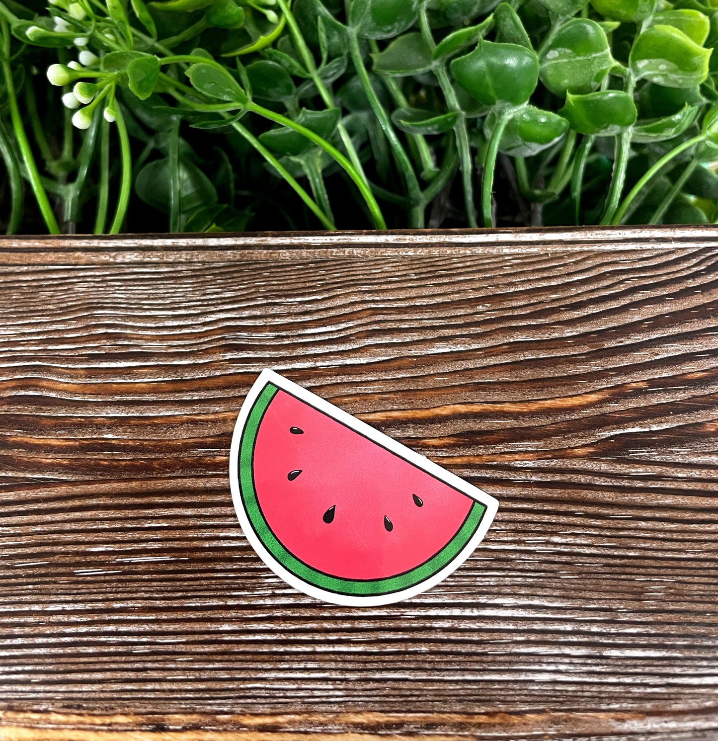 Watermelon Slice, Die Cut Sticker, Graphic Art Vinyl, , Boho Fun |Sticker or Magnet