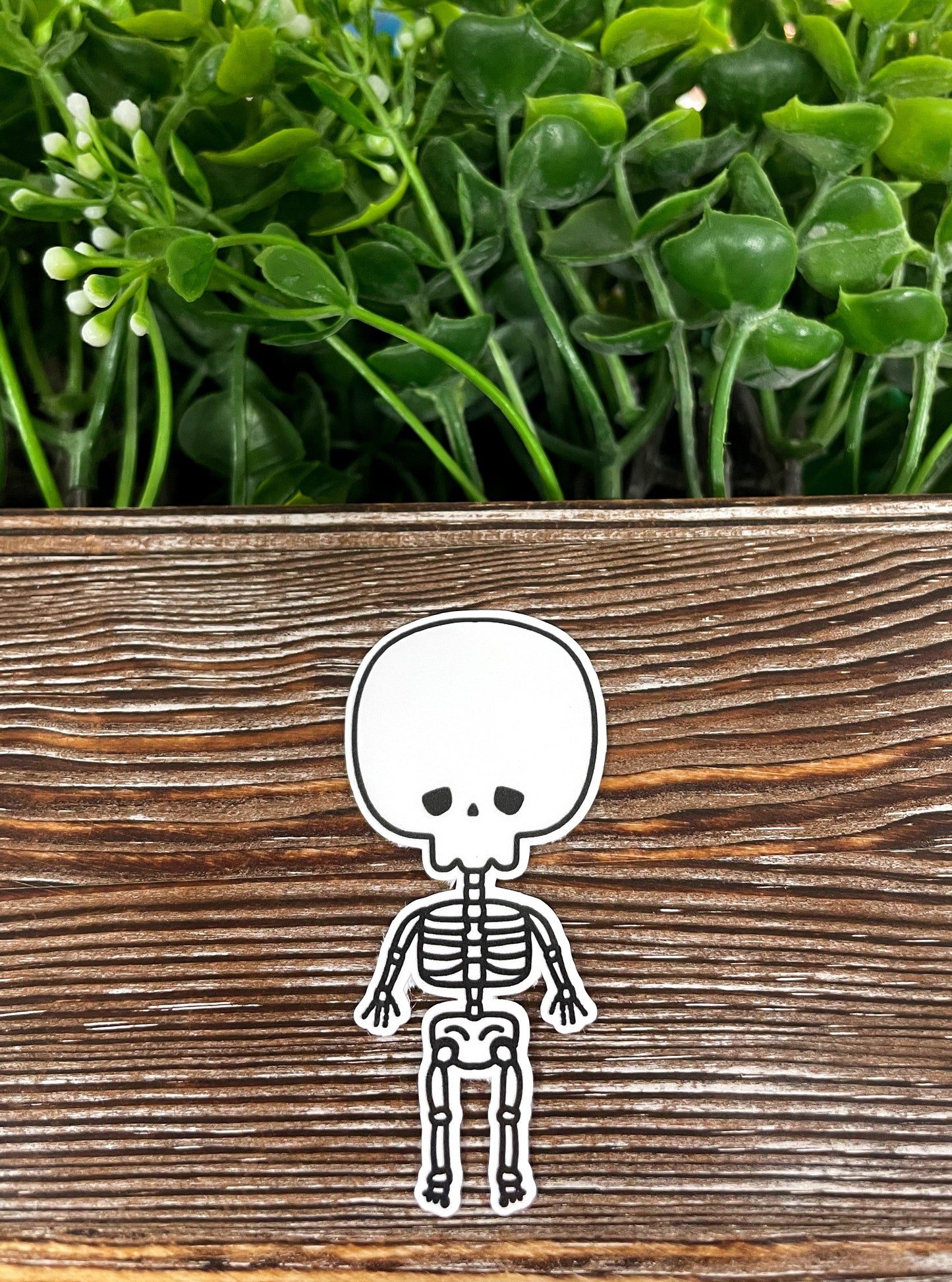Cute Skeleton, Die Cut Sticker, Graphic Art Vinyl, , Boho Fun |Sticker or Magnet