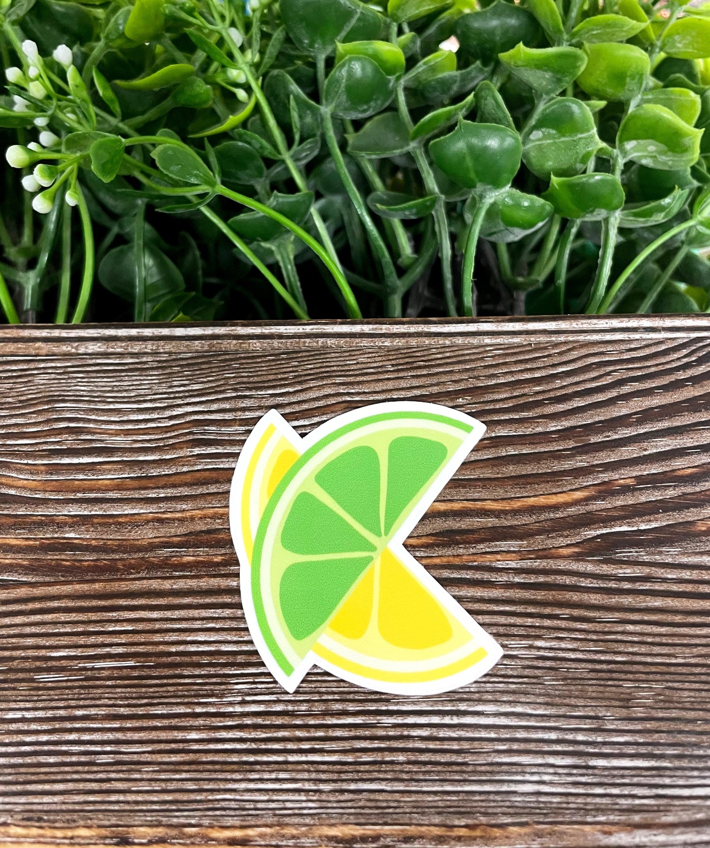 Green Lime and Yellow Lemon Slice, Die Cut Sticker, Graphic Art Vinyl, , Boho Fun |Sticker or Magnet