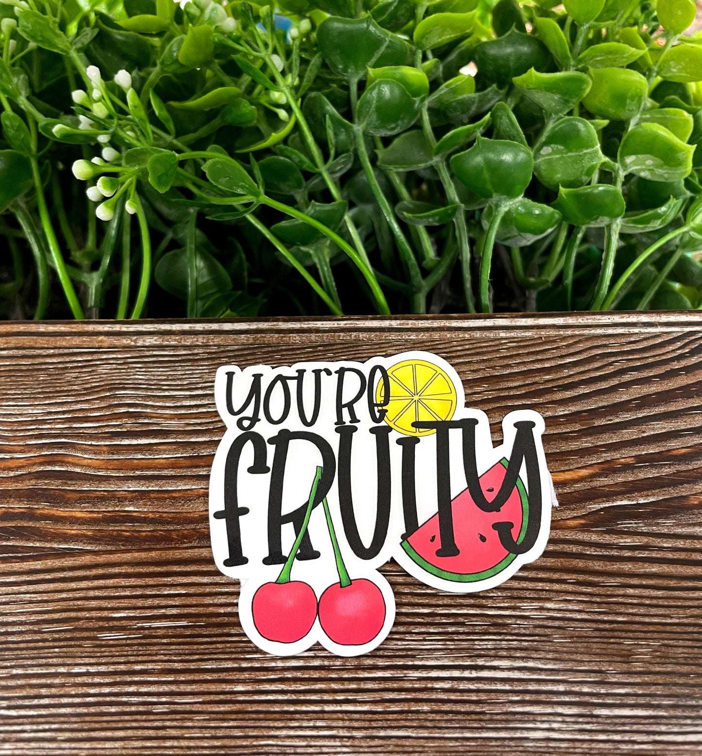 You're Fruity, Die Cut Sticker, Graphic Art Vinyl, , Inspirational, Boho Fun |Sticker or Magnet