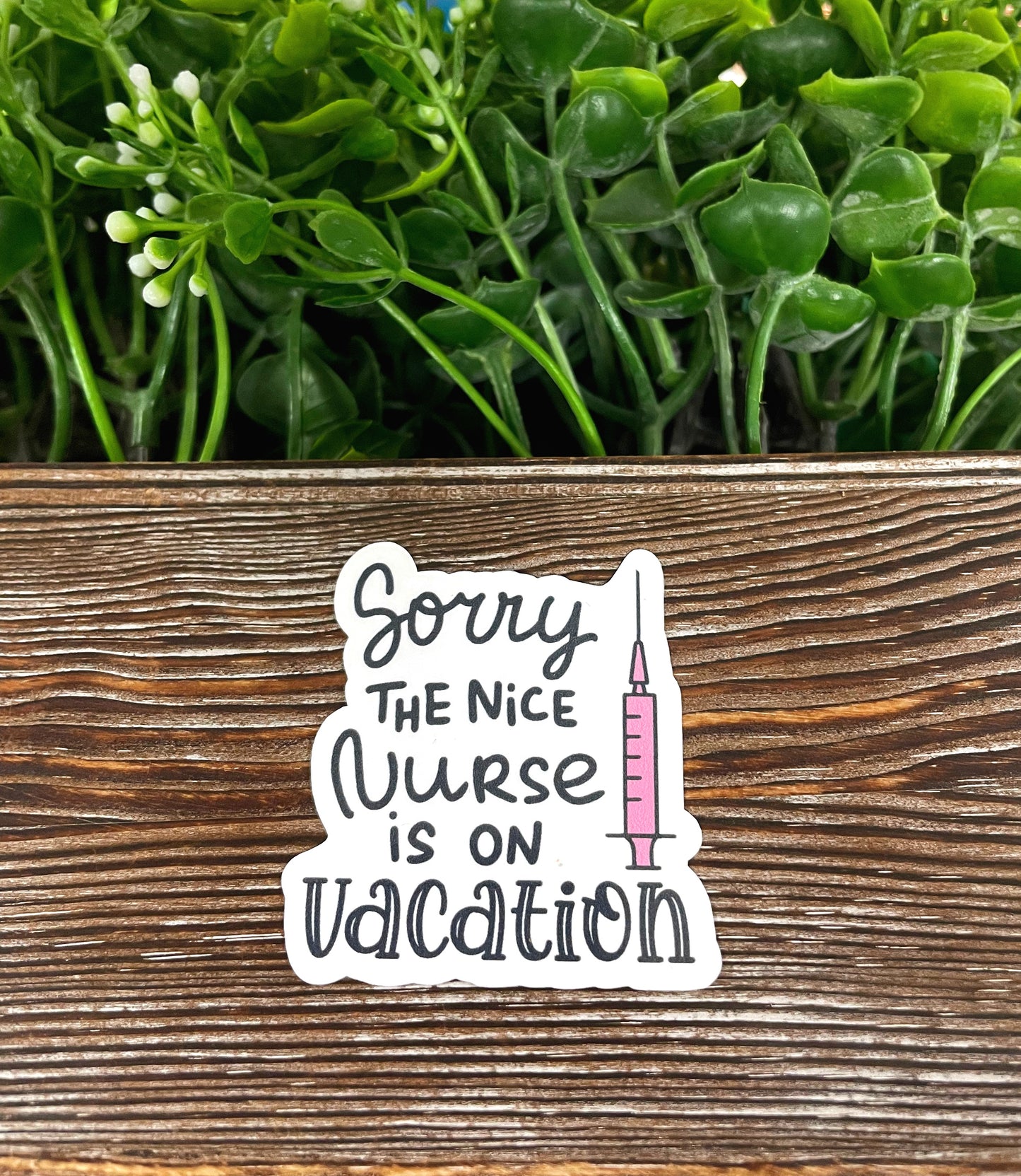 Sorry the Nice Nurse is on Vacation, Die Cut Sticker, Graphic Art Sticker, Vinyl, , Boho Fun |Sticker or Magnet