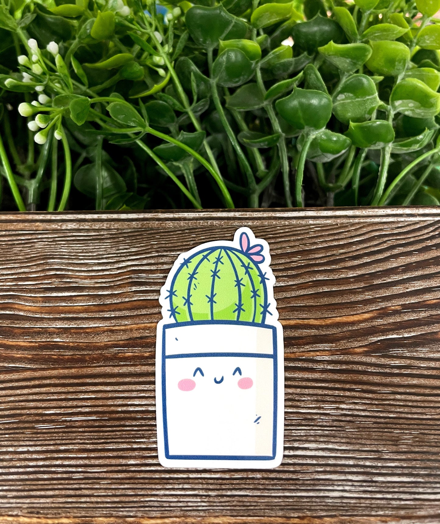 Cute Kawaii Succulent Plant Sticker |Sticker or Magnet