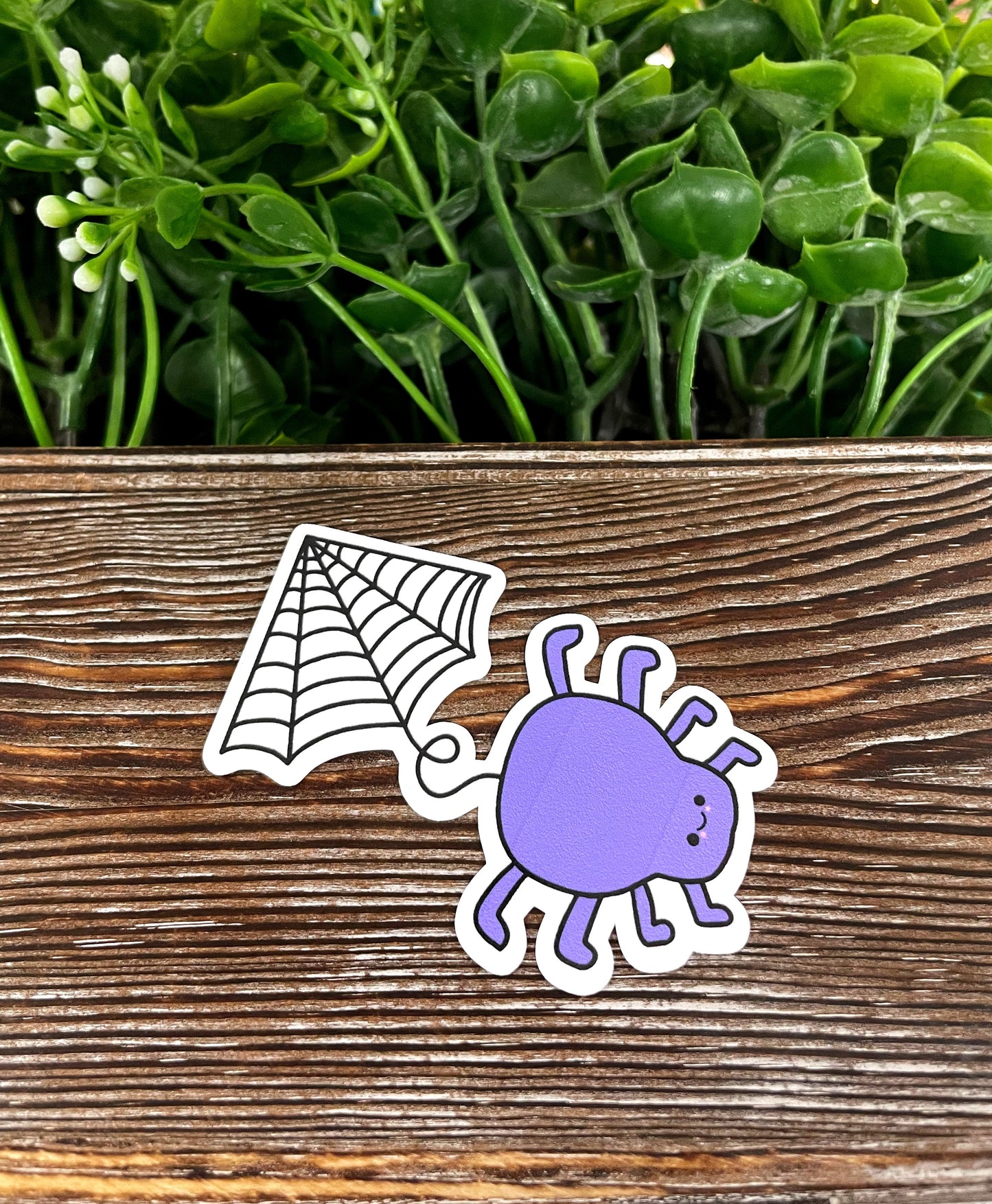 Cute Spider and Web, Die Cut Sticker, Graphic Art Sticker, Vinyl, , Inspire Motivate |Sticker or Magnet