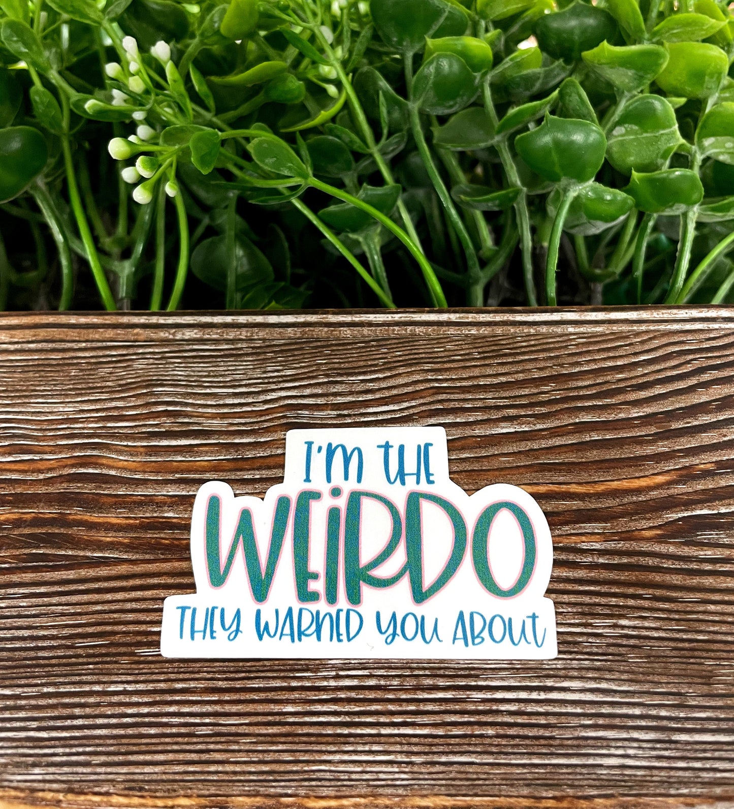 I'm the Weirdo They Warned you About, Die Cut Vinyl Sticker, , Boho Fun, Water Resistant |Sticker or Magnet