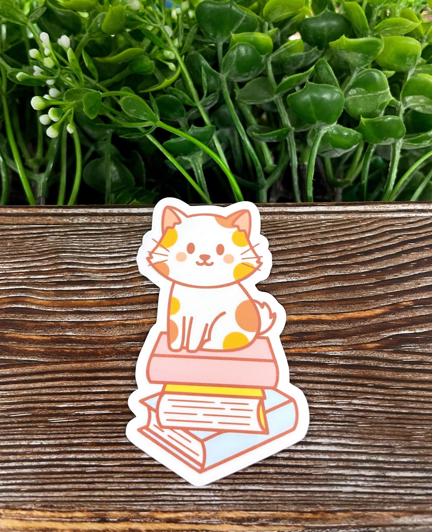 Cute Cat on Books Sticker |Sticker or Magnet
