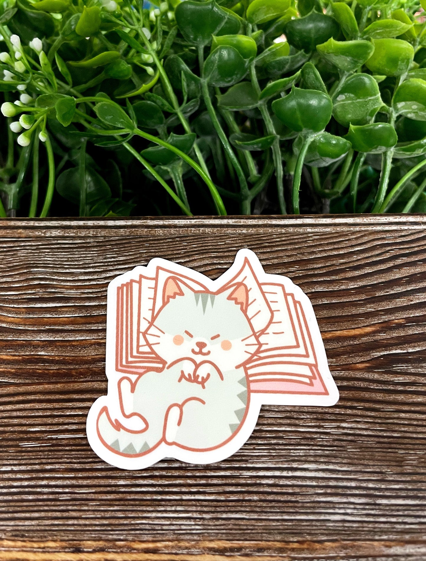 Cute Cat on Book, Die Cut Vinyl Sticker, , Boho Fun, Water Resistant |Sticker or Magnet