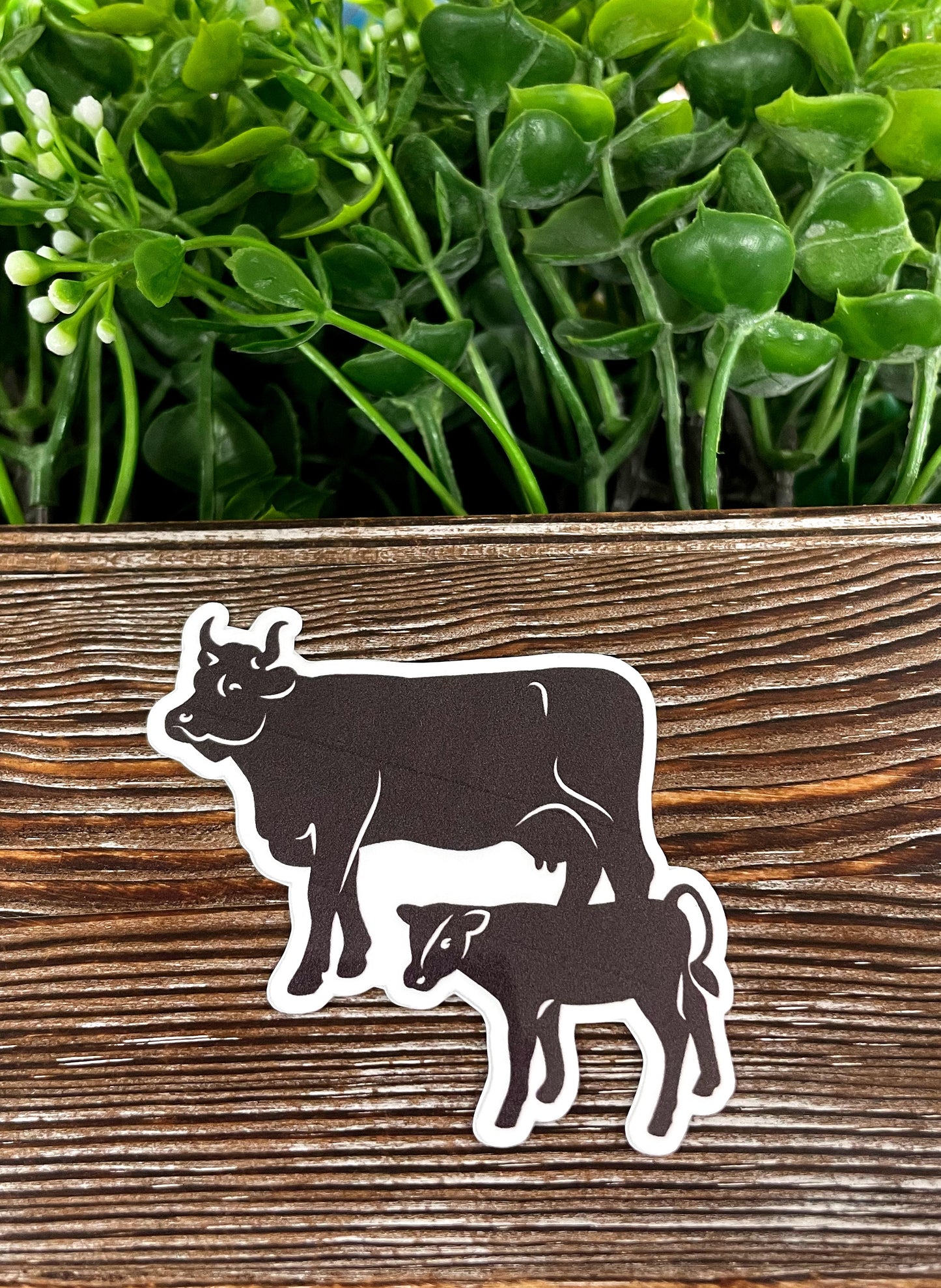 Cow and Calf Farm Sticker, Die Cut Vinyl Sticker, , Boho Fun, Water Resistant |Sticker or Magnet