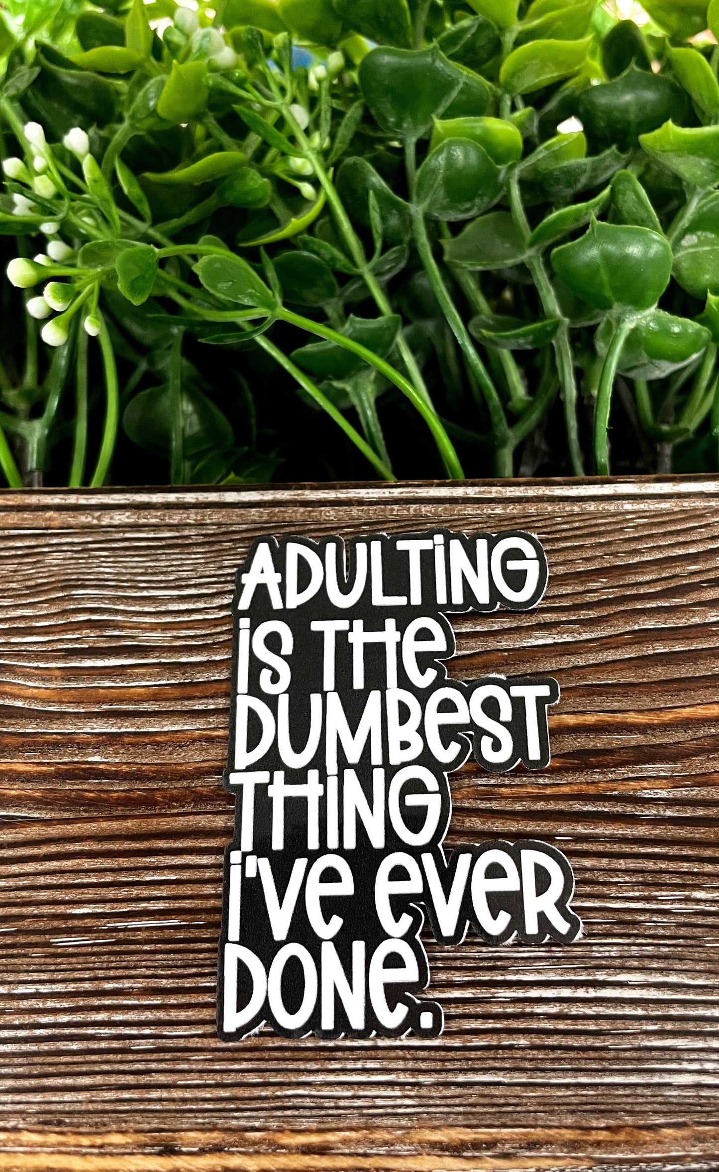Adulting is the Dumbest Thing I've Ever Done, Die Cut Vinyl Sticker, , Boho Fun, Water Resistant |Sticker or Magnet