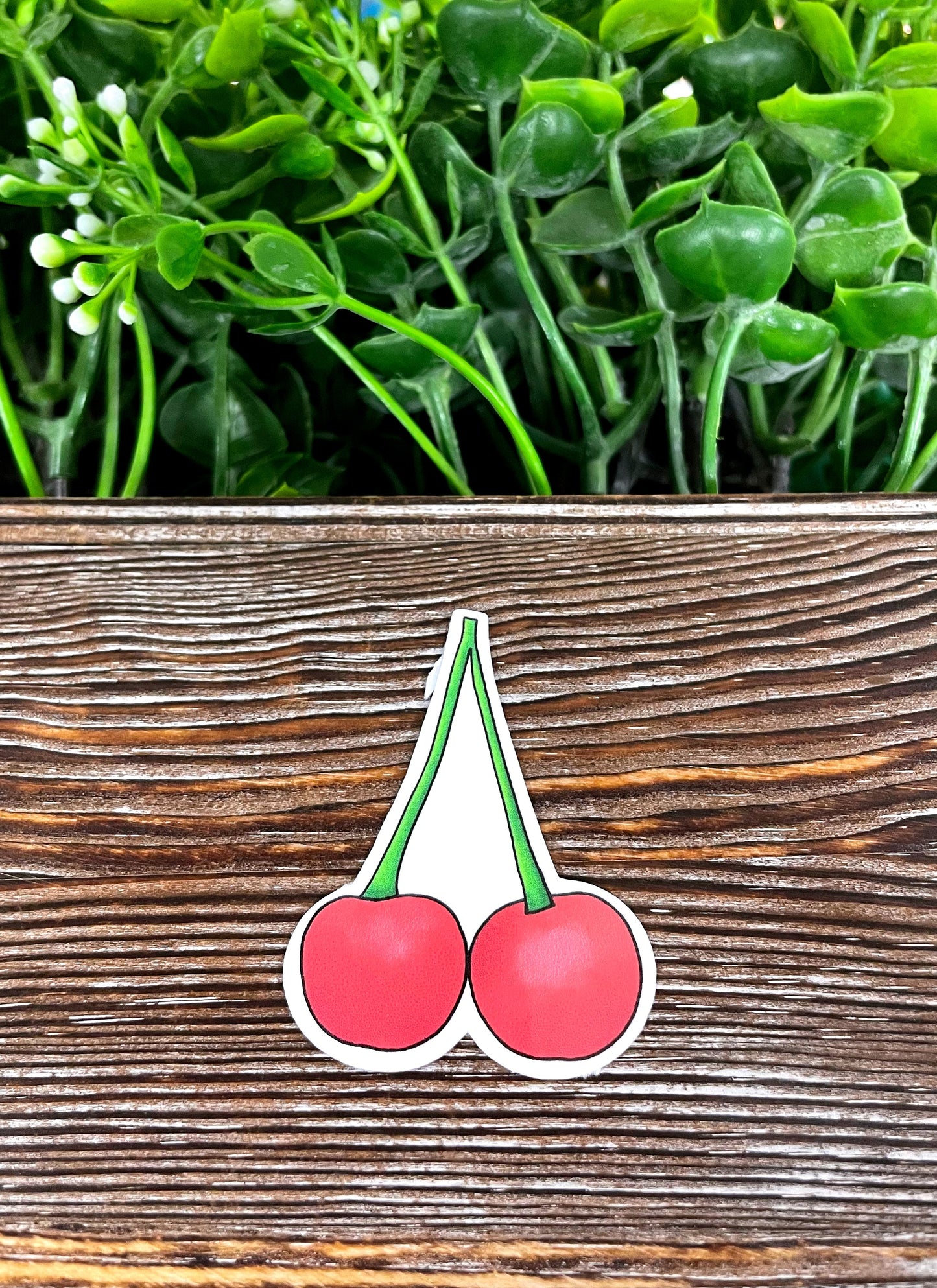 Red Cherries Fruit, Die Cut Vinyl Sticker, , Boho Fun, Water Resistant |Sticker or Magnet