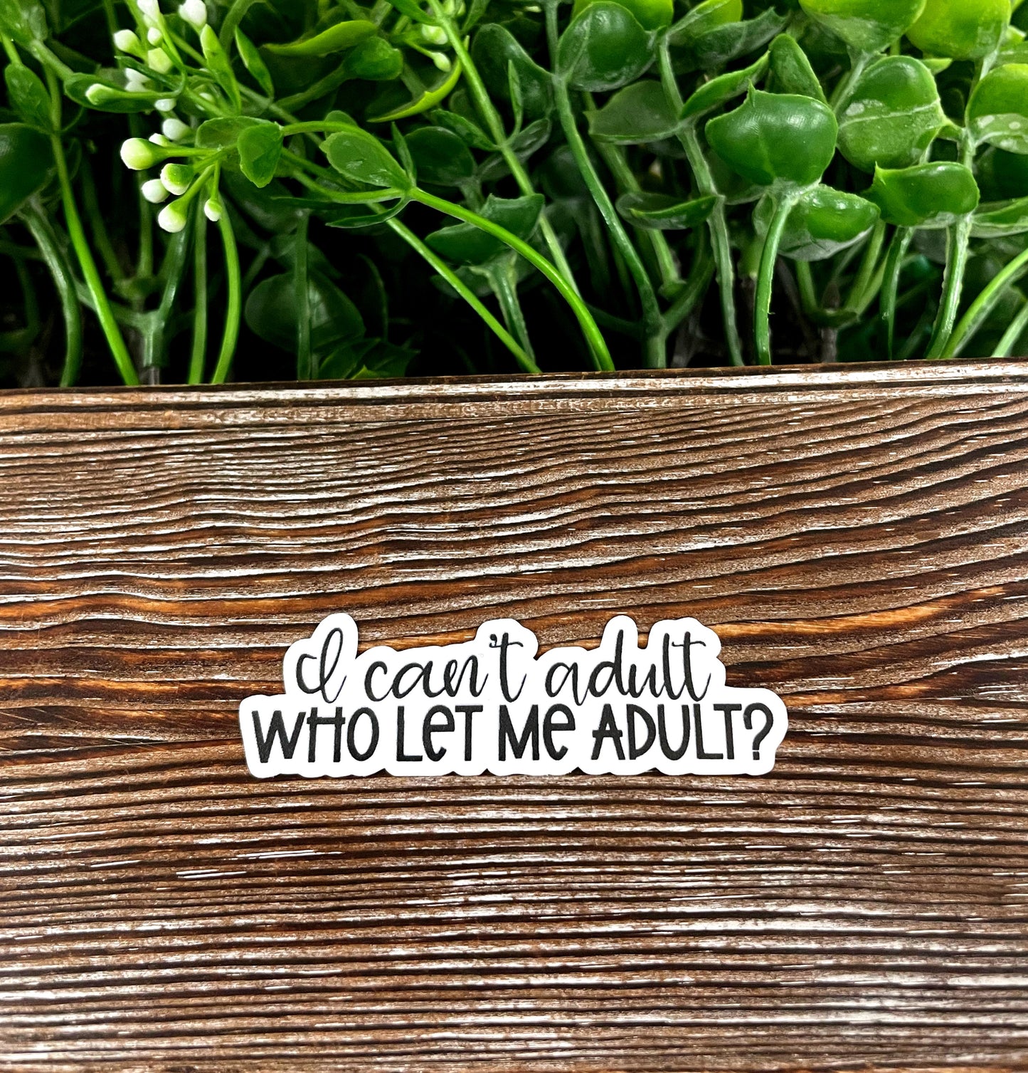 I Can't Adult, Who Let Me Adult, Die Cut Vinyl Sticker, , Boho Fun, Water Resistant, Motivational |Sticker or Magnet