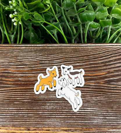 3 Baby Mini Goats Sticker, , Boho Fun, Water Resistant, Kids Farm |Sticker or Magnet