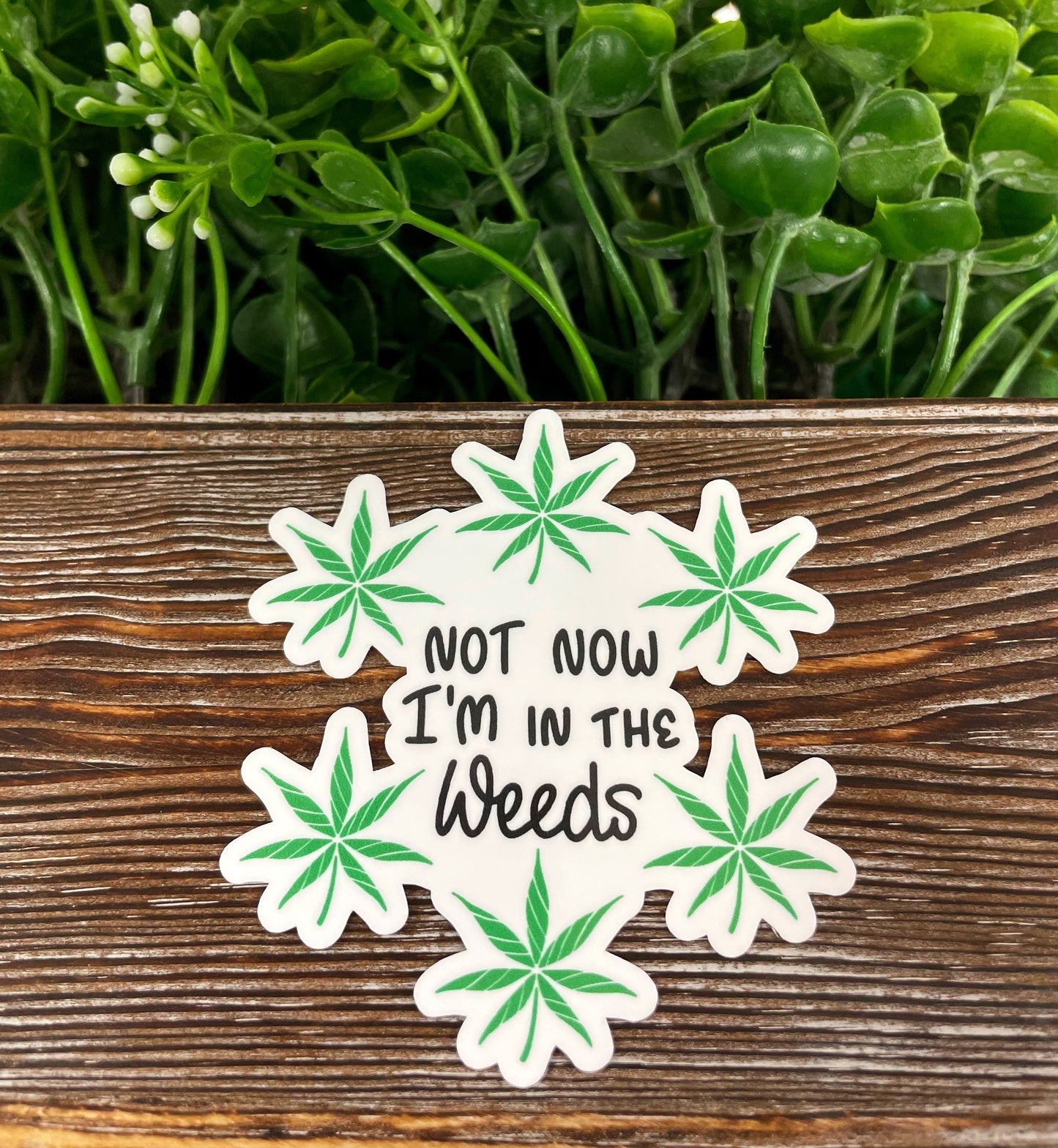 Not Now I'm in the Weeds, Die Cut Vinyl Sticker, , Boho Fun, Water Resistant |Sticker or Magnet