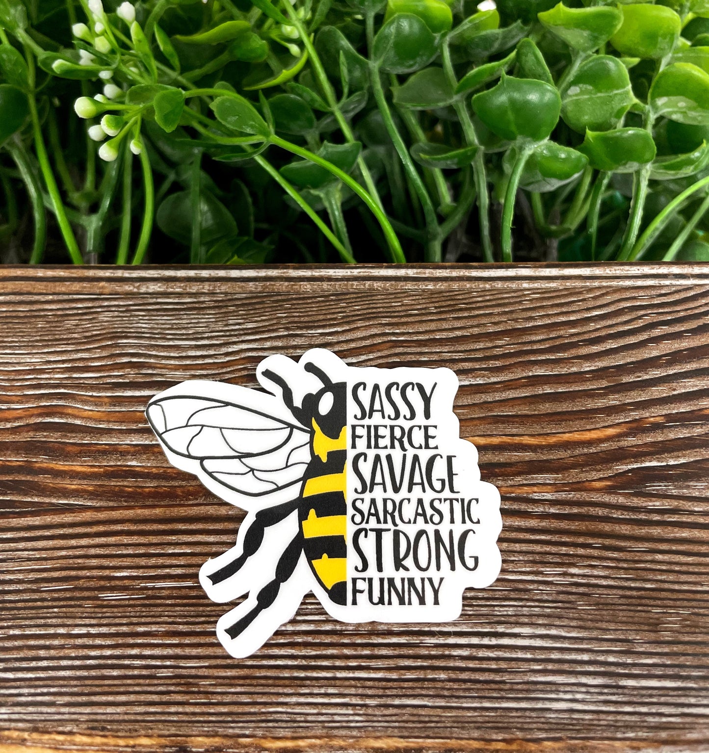 Sassy Fierce Savage Sarcastic Strong Funny, Die Cut Vinyl Sticker, , Boho Fun, Water Resistant |Sticker or Magnet