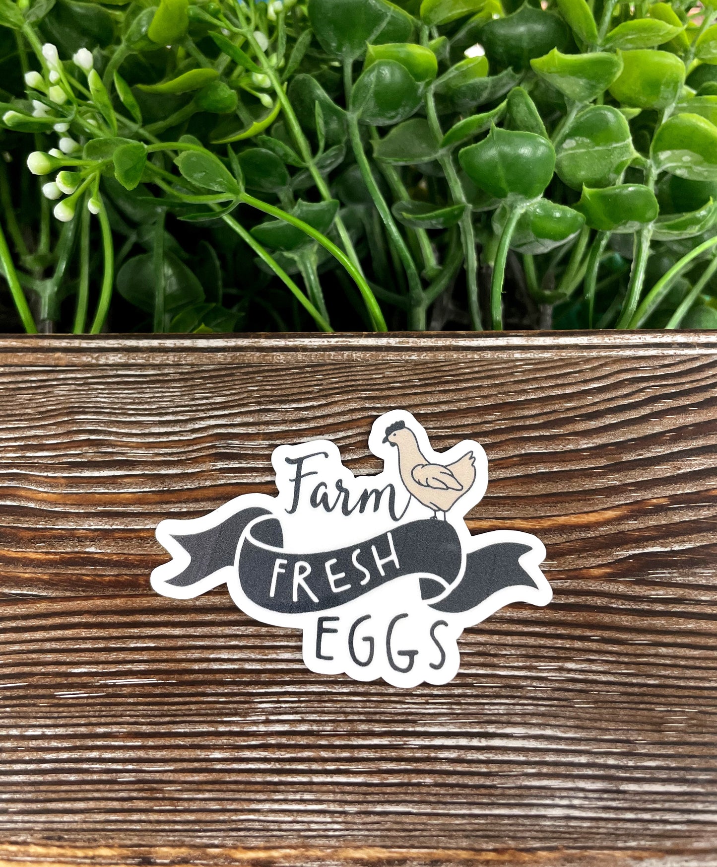 Farm Fresh Eggs Chicken, Die Cut Vinyl Sticker, , Boho Fun, Water Resistant, 90s Nostalgia |Sticker or Magnet