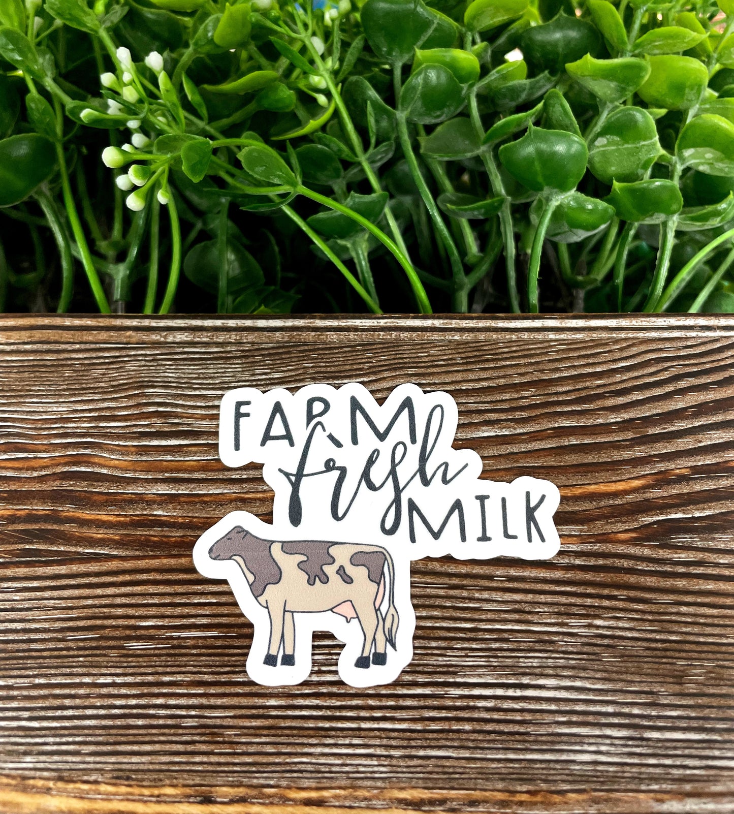 Farm Fresh Milk Cow, Die Cut Vinyl Sticker, , Boho Fun, Water Resistant |Sticker or Magnet