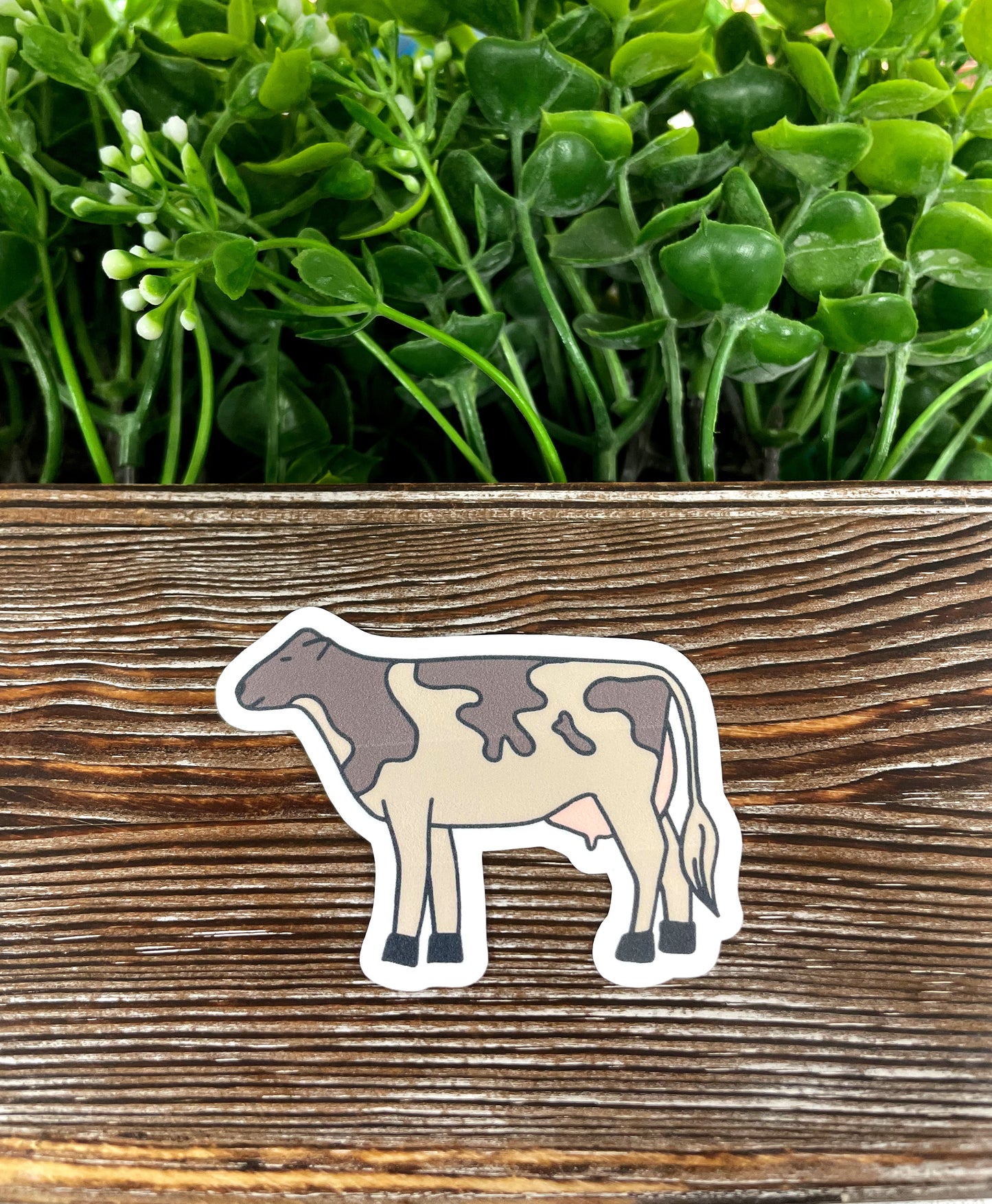 Farm Cow, Die Cut Vinyl Sticker, , Boho Fun, Water Resistant |Sticker or Magnet