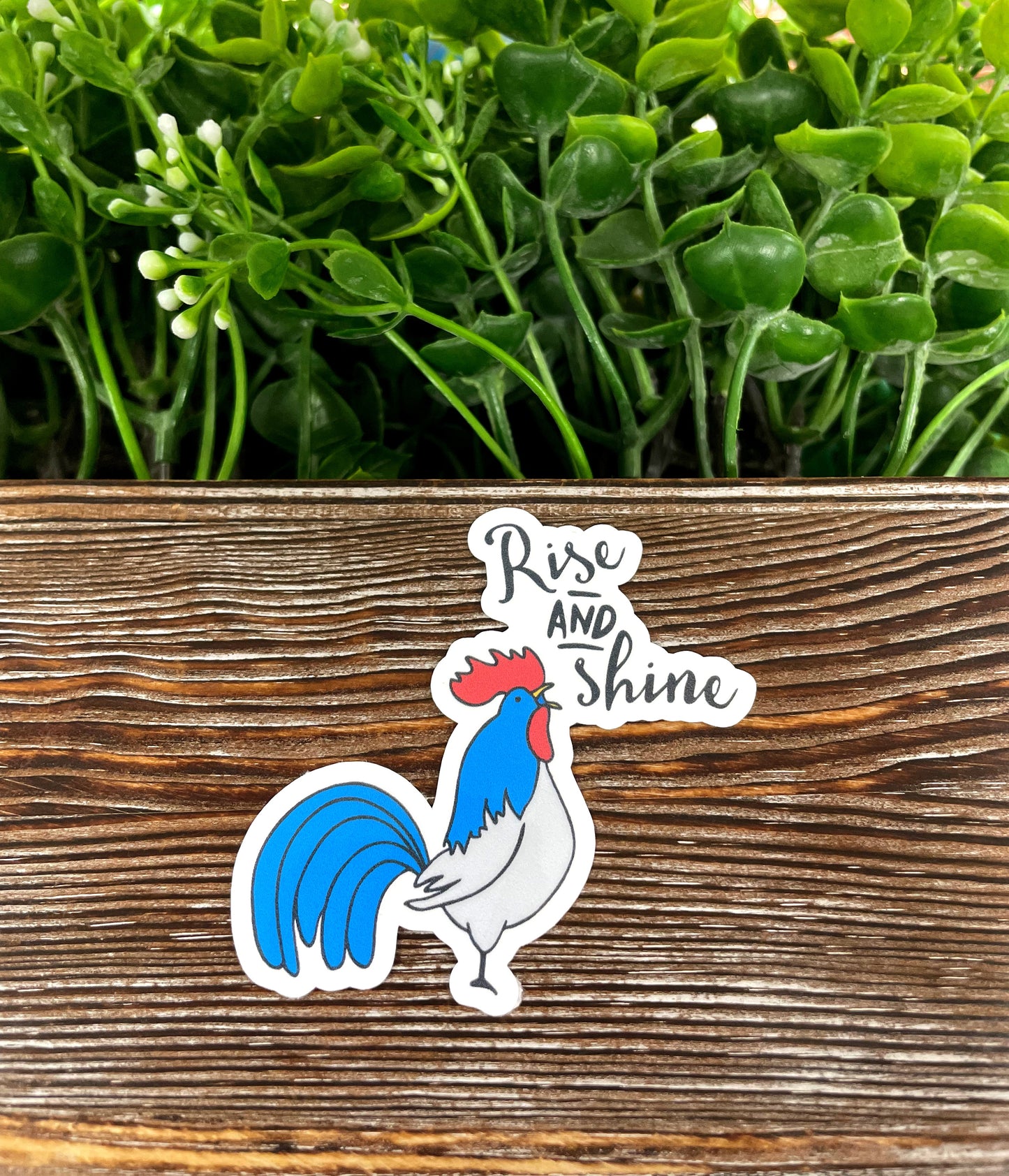 Rise and Shine Rooster, Die Cut Vinyl Sticker, , Boho Fun, Water Resistant |Sticker or Magnet