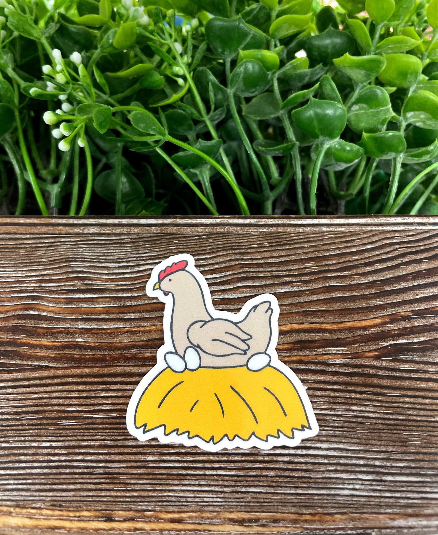 Chicken Sitting Eggs Sticker |Sticker or Magnet