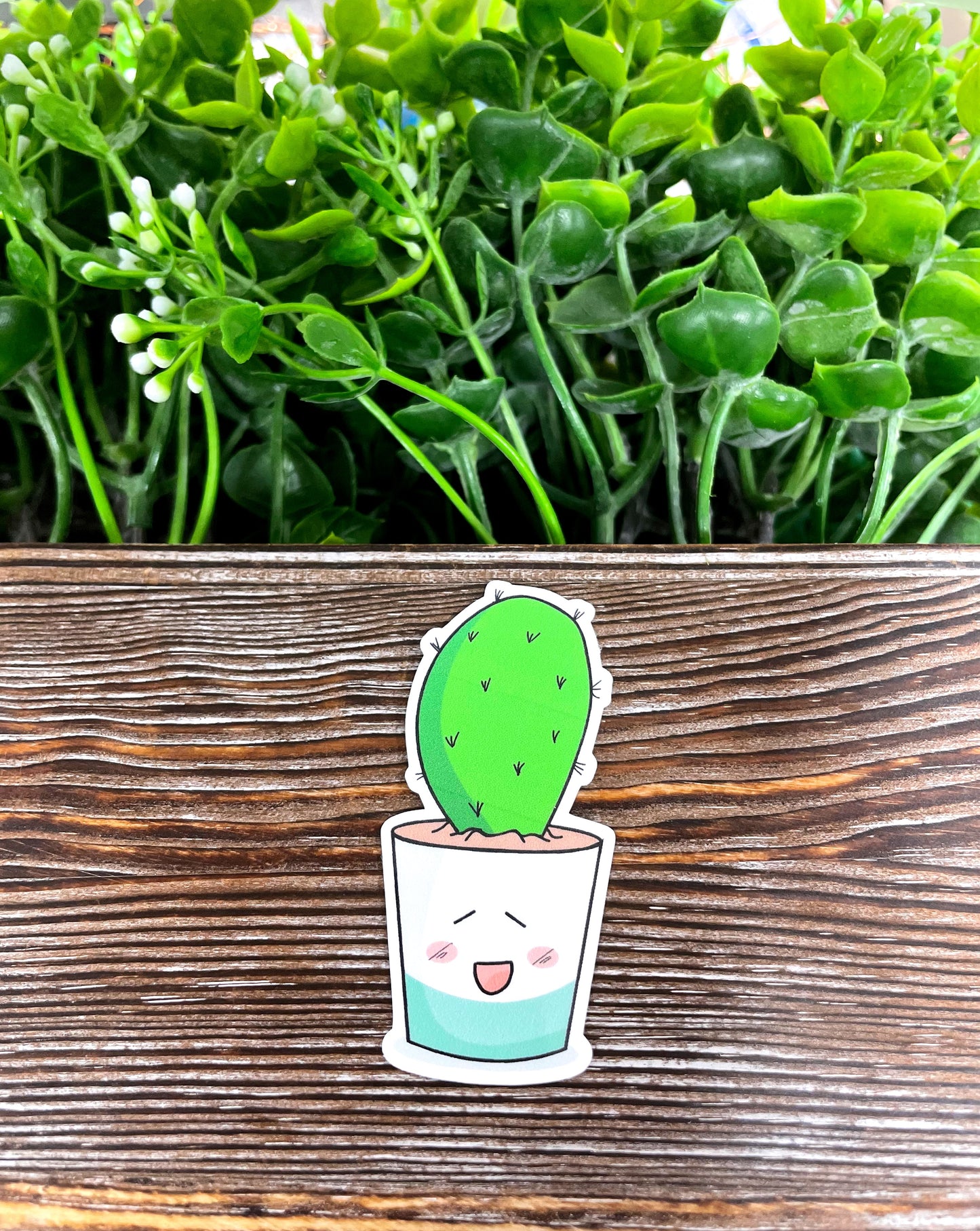 Happy Kawaii Succulent Plant Sticker |Sticker or Magnet