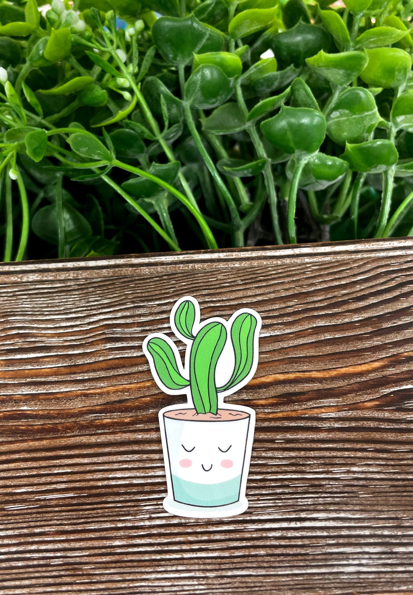 Kawaii Succulent Plant Sticker, Die Cut Vinyl Sticker, Succulent Sticker |Sticker or Magnet