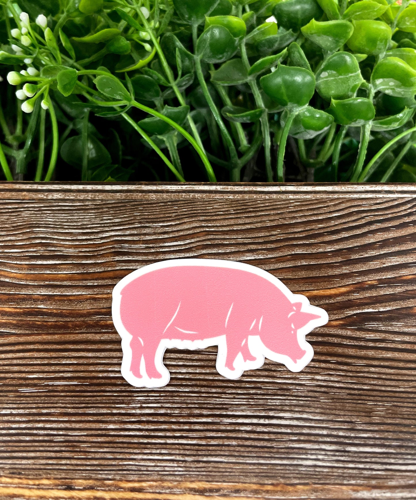 Large Pink Farm Pig Sticker |Sticker or Magnet