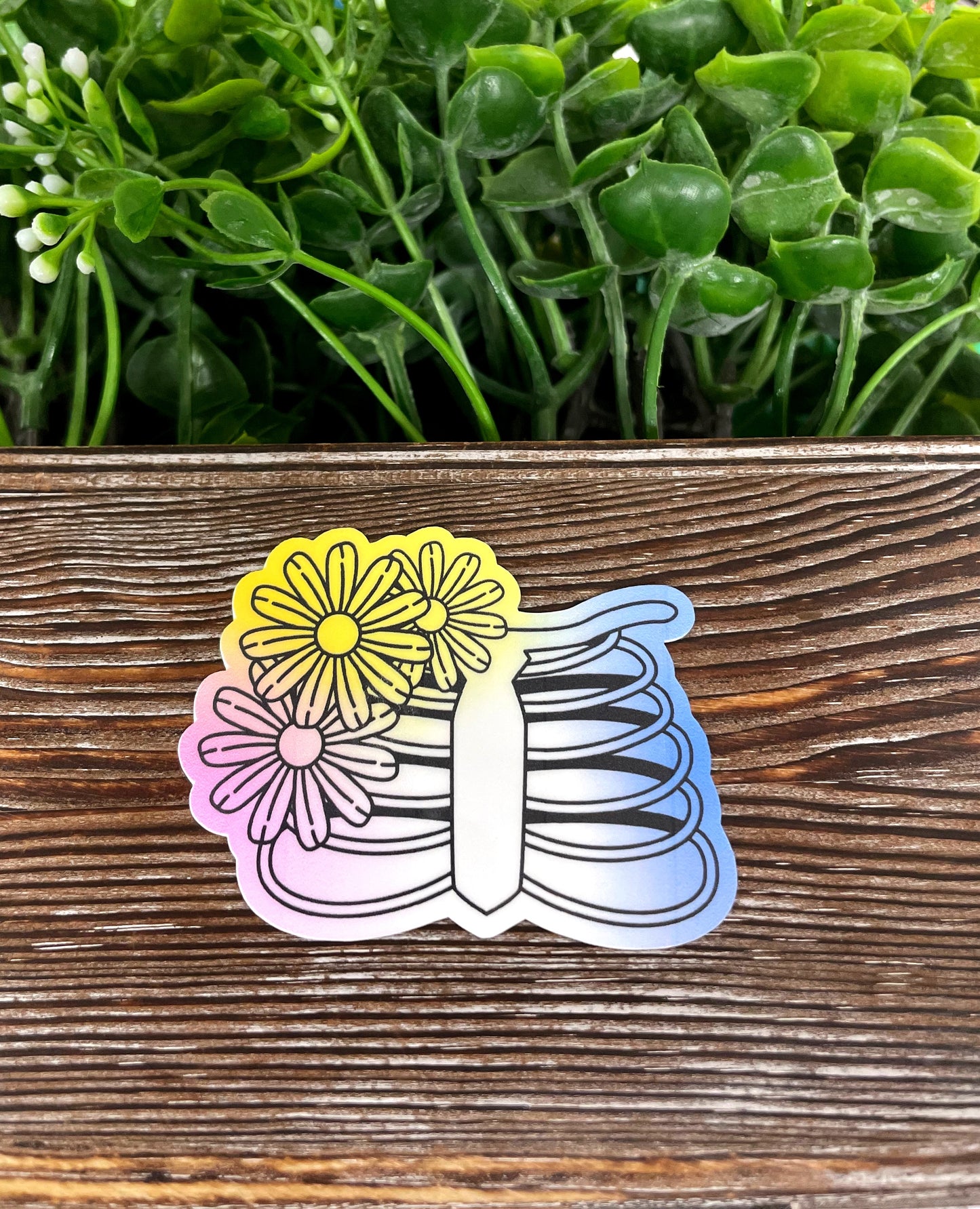 Watercolor Rib Cage Sticker |Sticker or Magnet