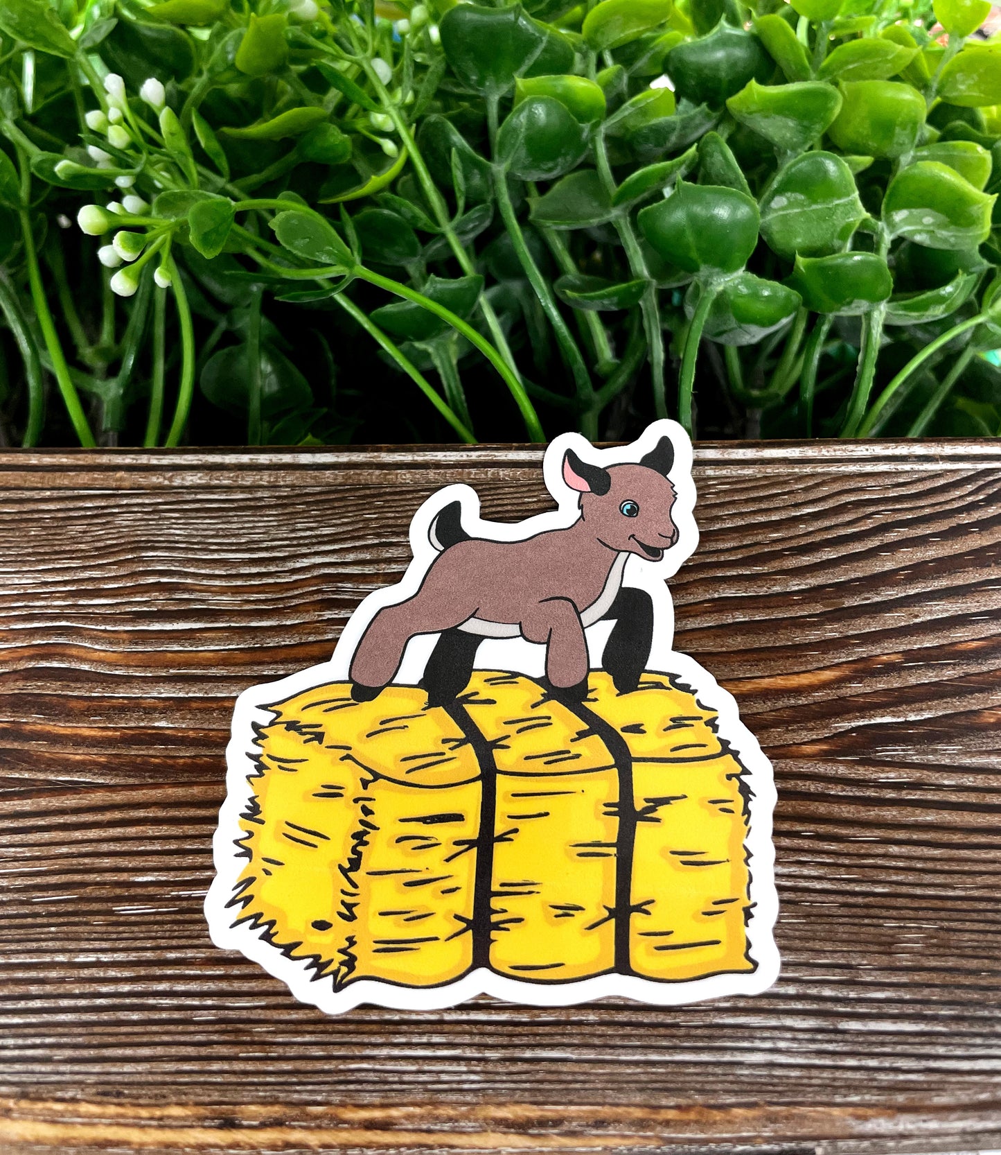 Baby Goat Sticker, Playing on Hay Bale, Die Cut Vinyl Sticker |Sticker or Magnet